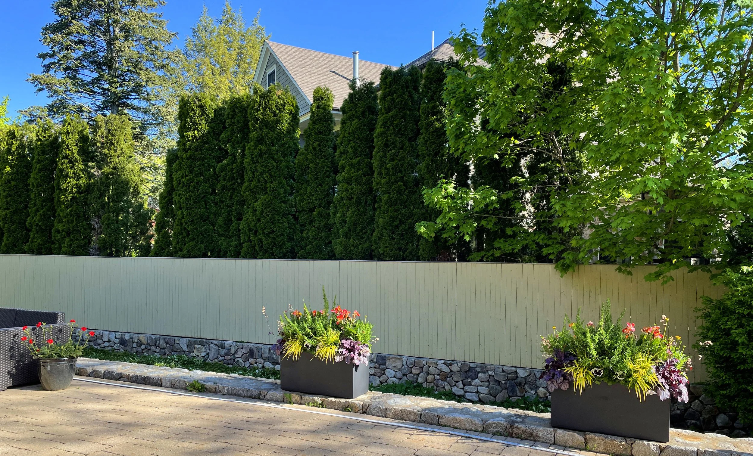 Adding color and drama through strategic planting can beautifully highlight and define a stone wall, turning it into a focal point of the landscape.