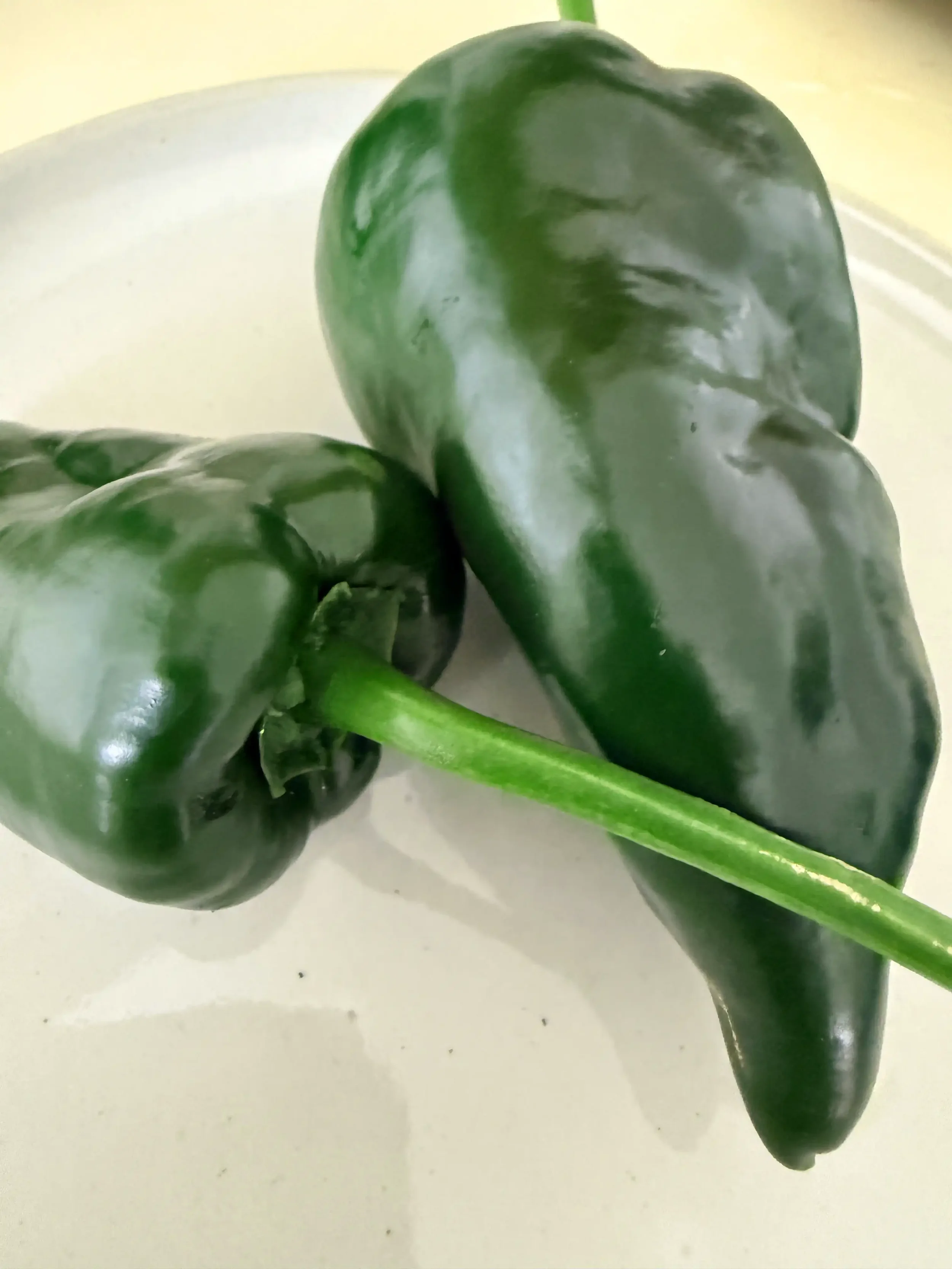 Our Italian green peppers are thriving, bringing vibrant color and rich flavor to our autumn harvest.