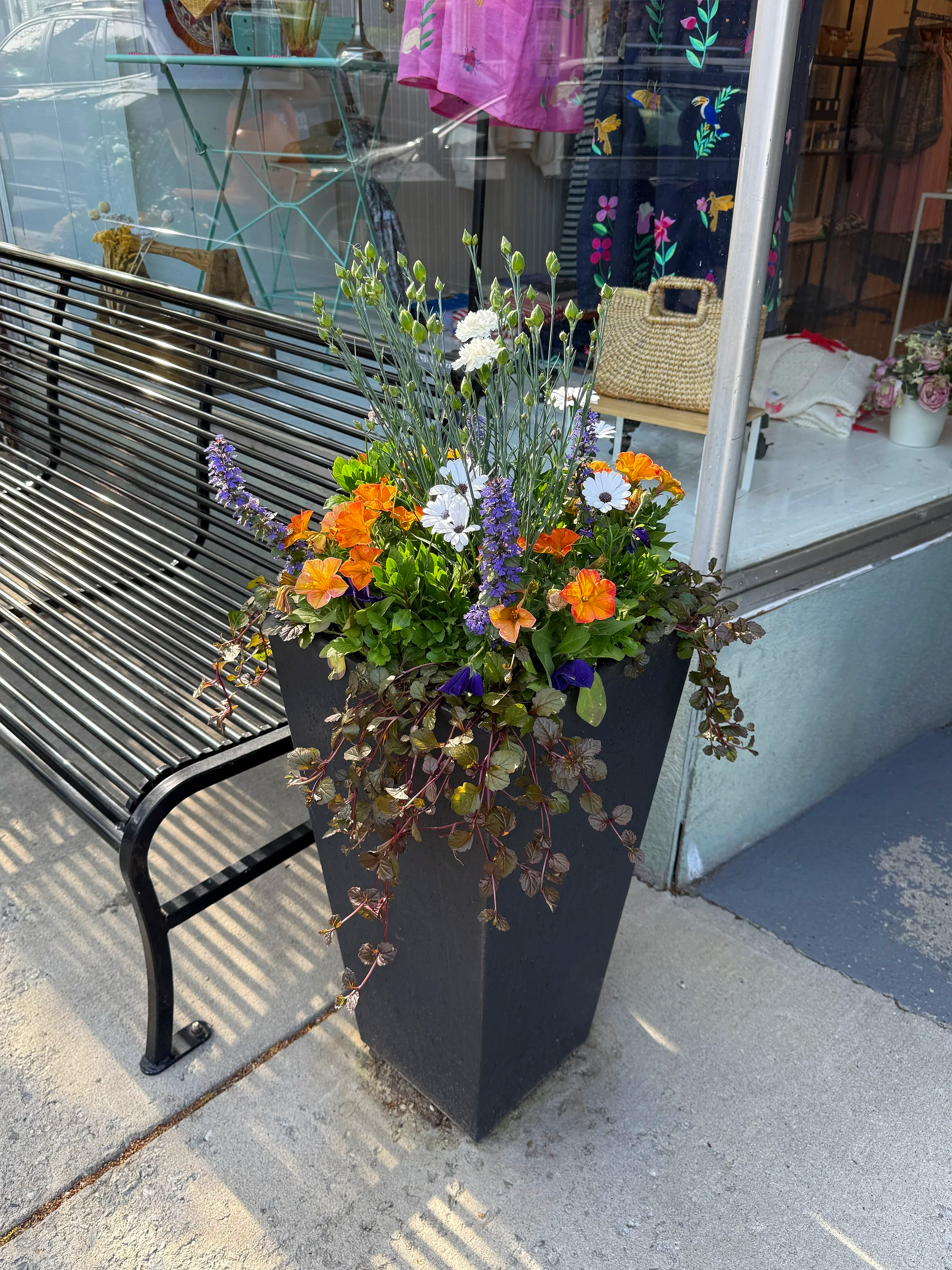 Colorful potted flowers next to a black metal bench outside a shop window.