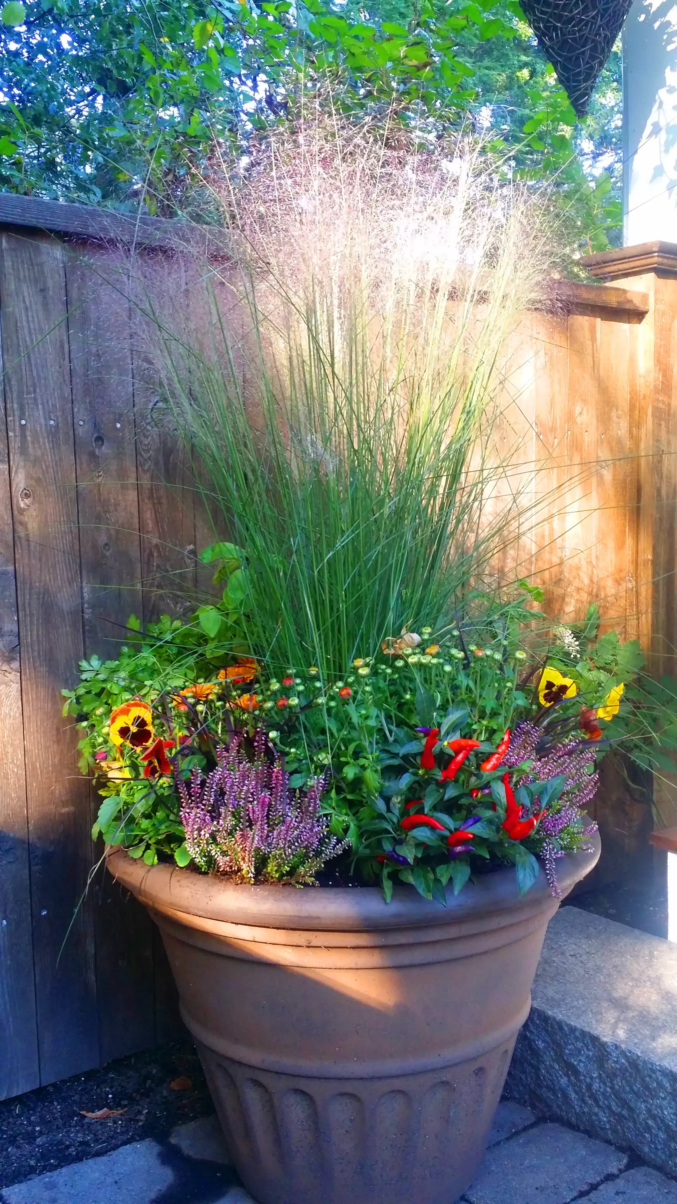 A large terracotta flowerpot filled with various colorful flowers and green plants, placed outdoors against a wooden fence, with sunlight illuminating the scene.