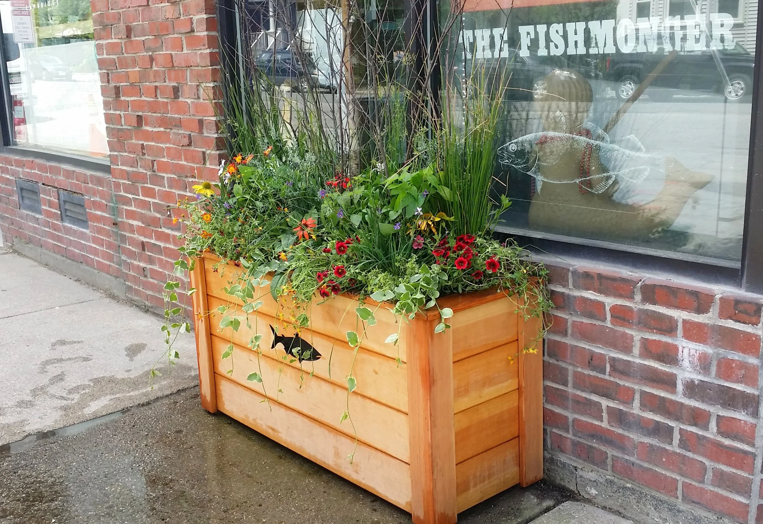 Natural twigs, and grasses and colors, combined with native plants, create the feeling of being in a wild New England field.