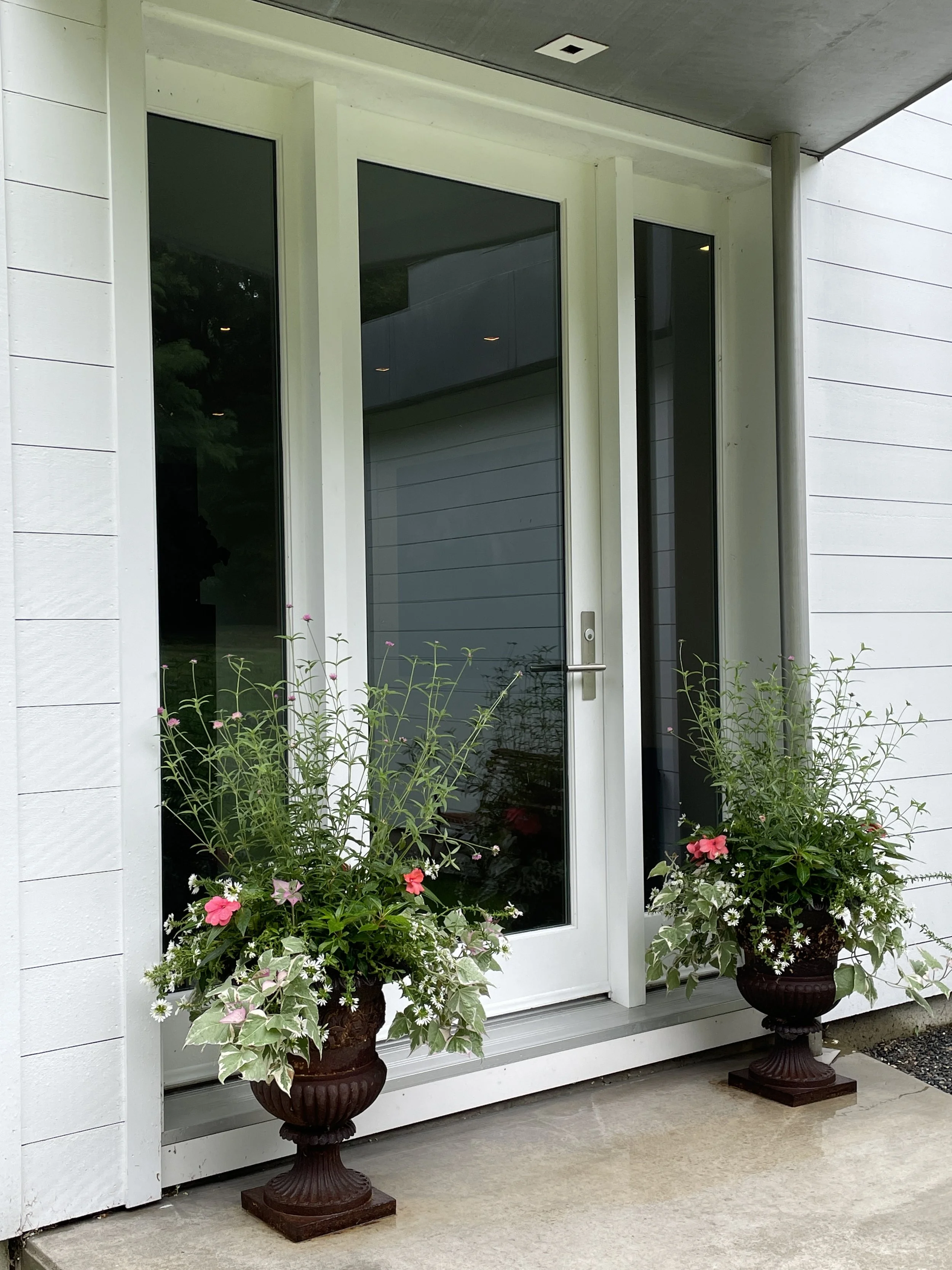 Whispery, cascading, and overflowing. It adds a delicate touch to even the smallest spaces.