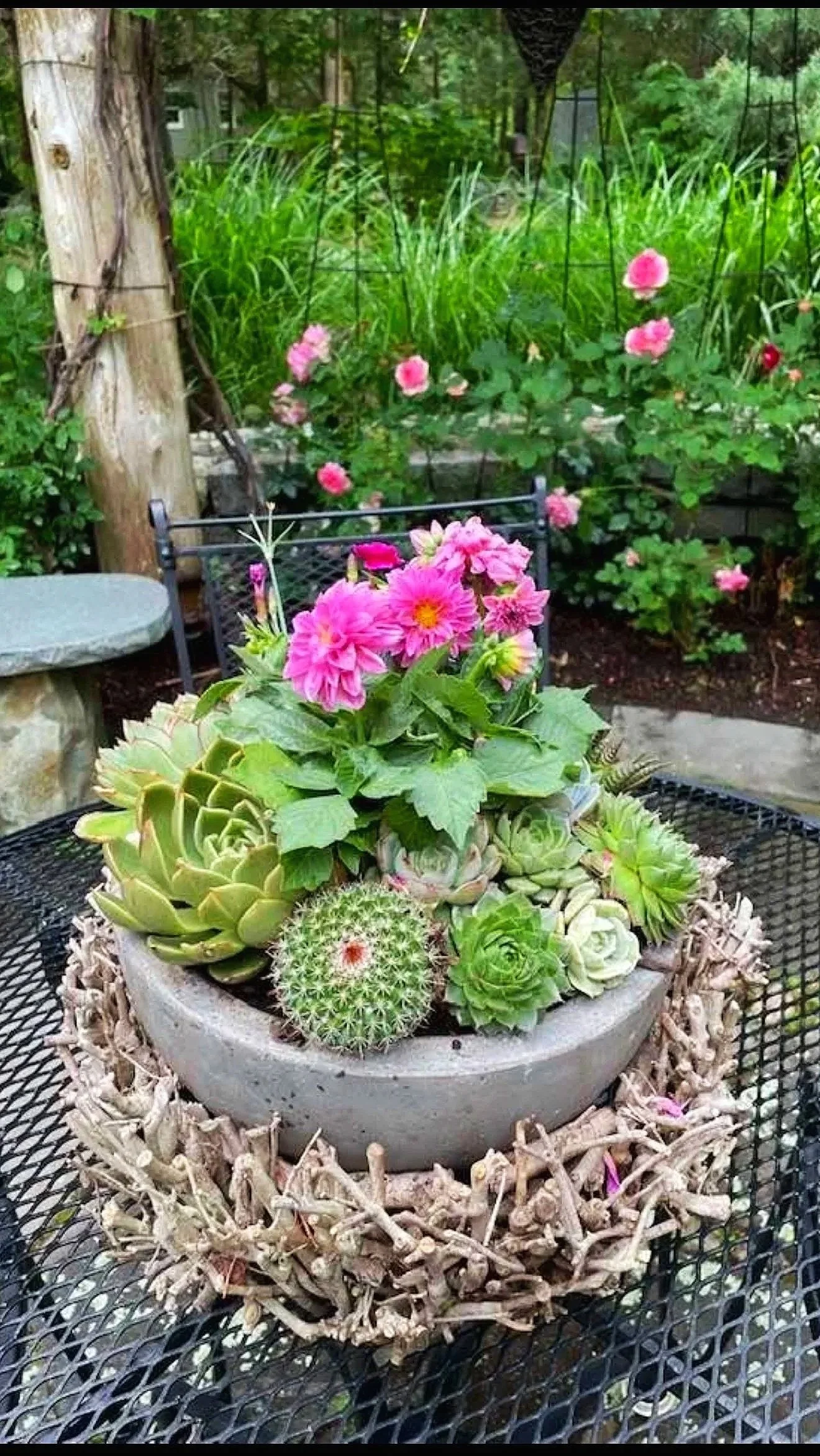 A decorative concrete planter containing a variety of succulents and pink flowers, resting on a black metal outdoor table with a natural pebble border around the planter, set in a lush garden with green grass, trees, and flowering bushes in the background.
