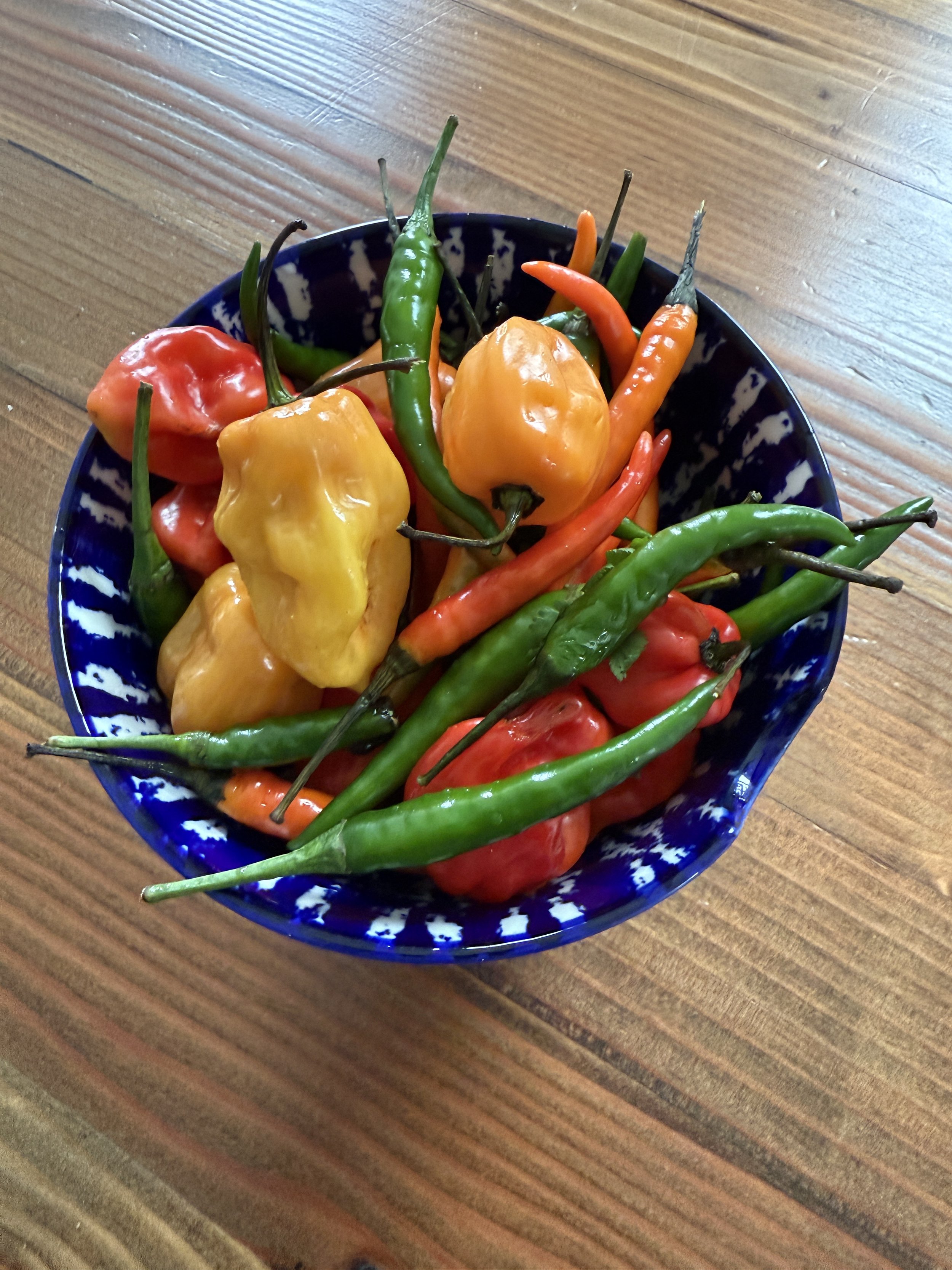 A blue patterned bowl filled with various colorful chili peppers on a wooden table.