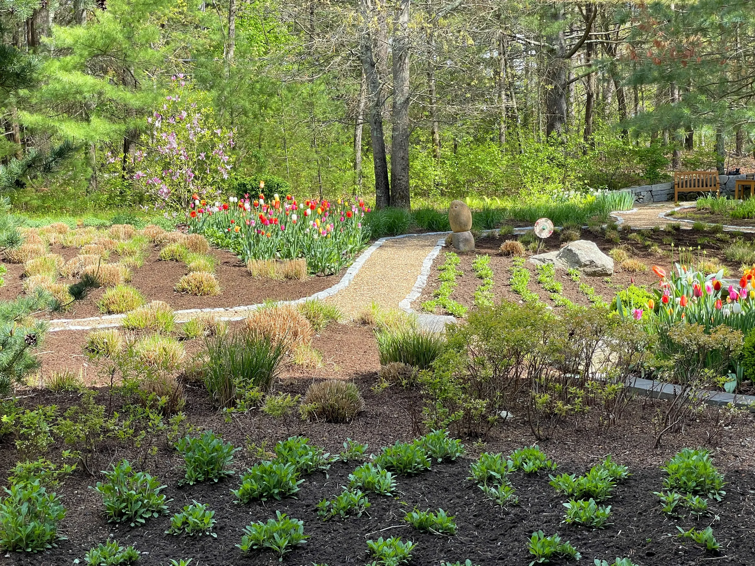 We added a pea stone and cobble retaining wall pathway for easy accessibility throughout the property, showcasing that a lawn isn’t necessary when pollinator-friendly plants take center stage.