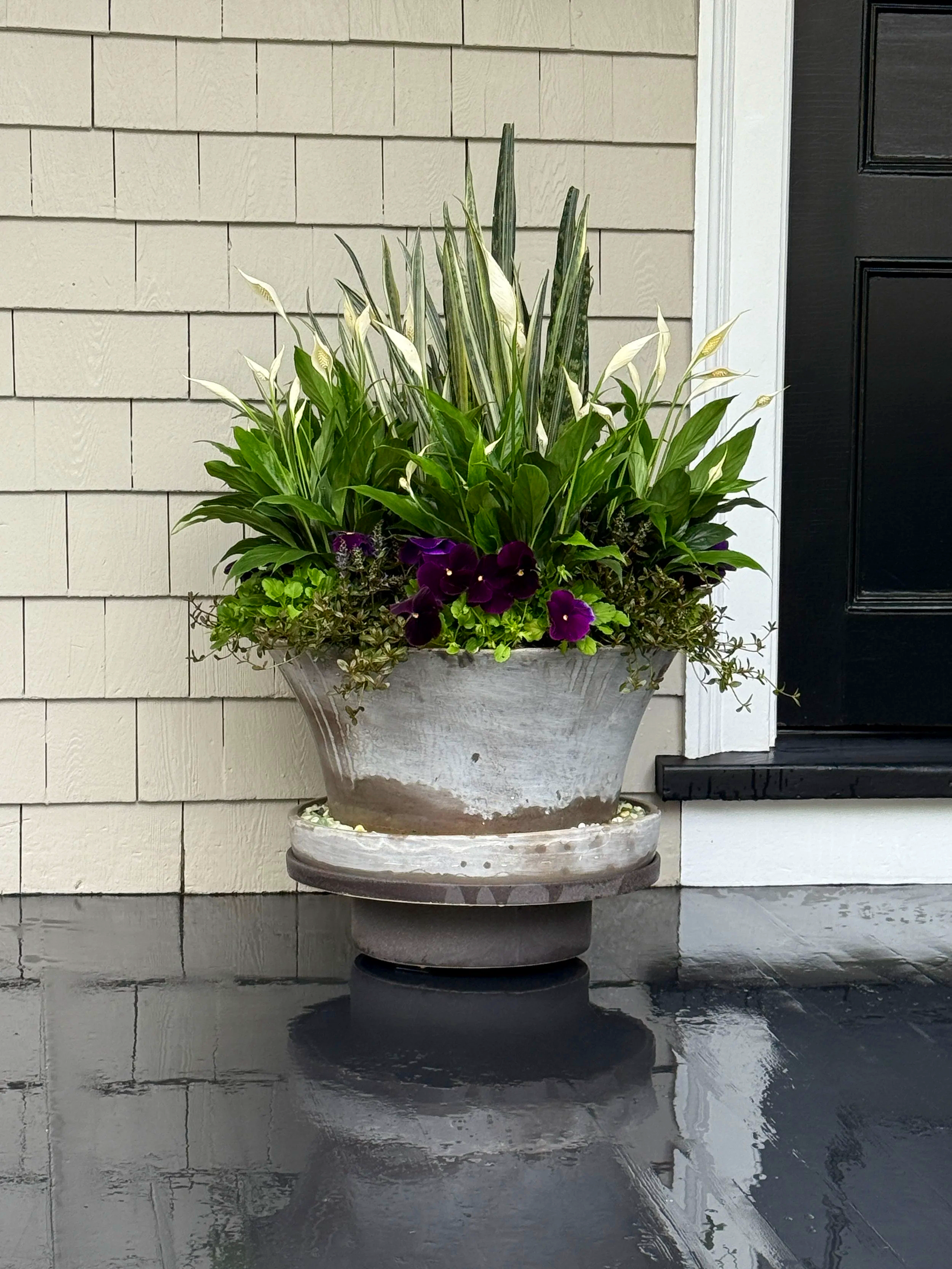 A large gray ceramic planter with lush green plants, purple flowers, and variegated leaves, placed on a black polished surface outside a house with beige siding and a black front door.