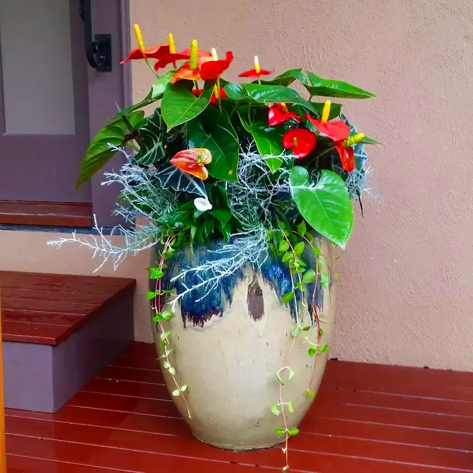 A colorful potted plant arrangement featuring red and yellow flowers, green leaves, and white decorative branches, placed on a wooden surface next to a door.