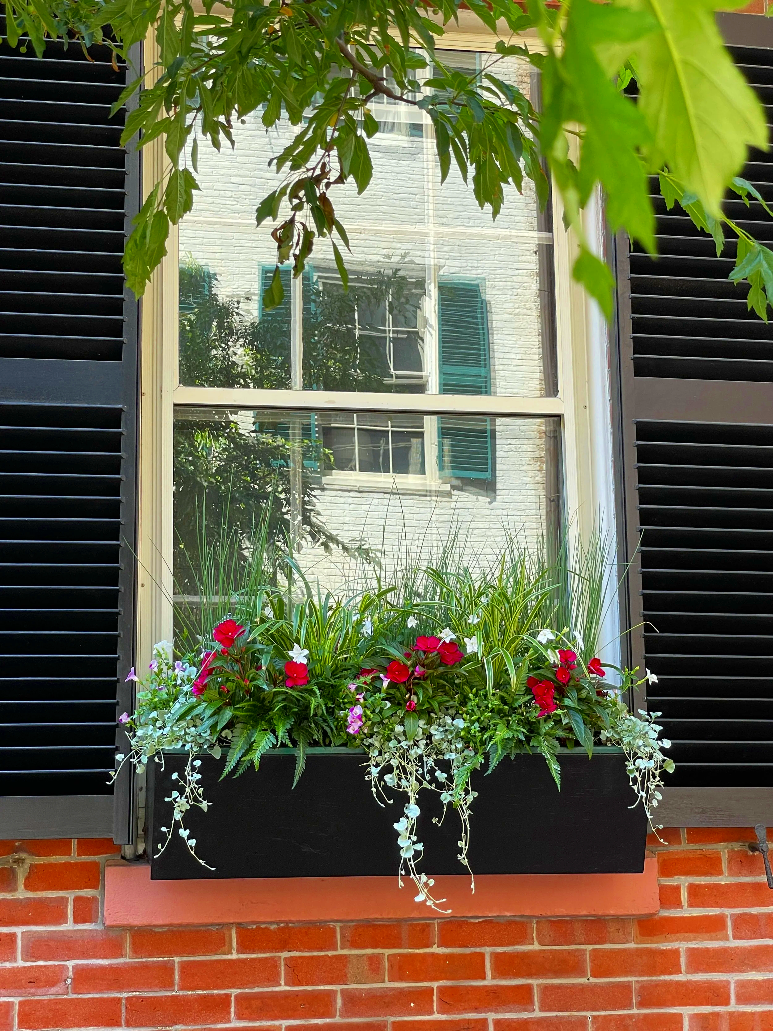 Window with black shutters and a flower box filled with red, white, and purple flowers, greenery, and hanging vines, with a brick wall below and a reflection of a second window with blue shutters in the glass.