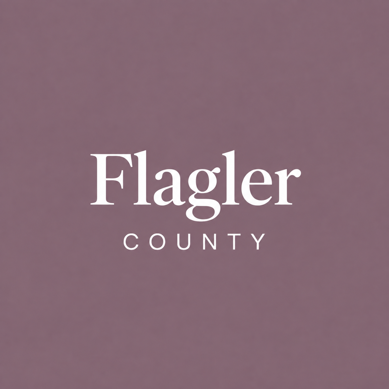 flagler_county.png