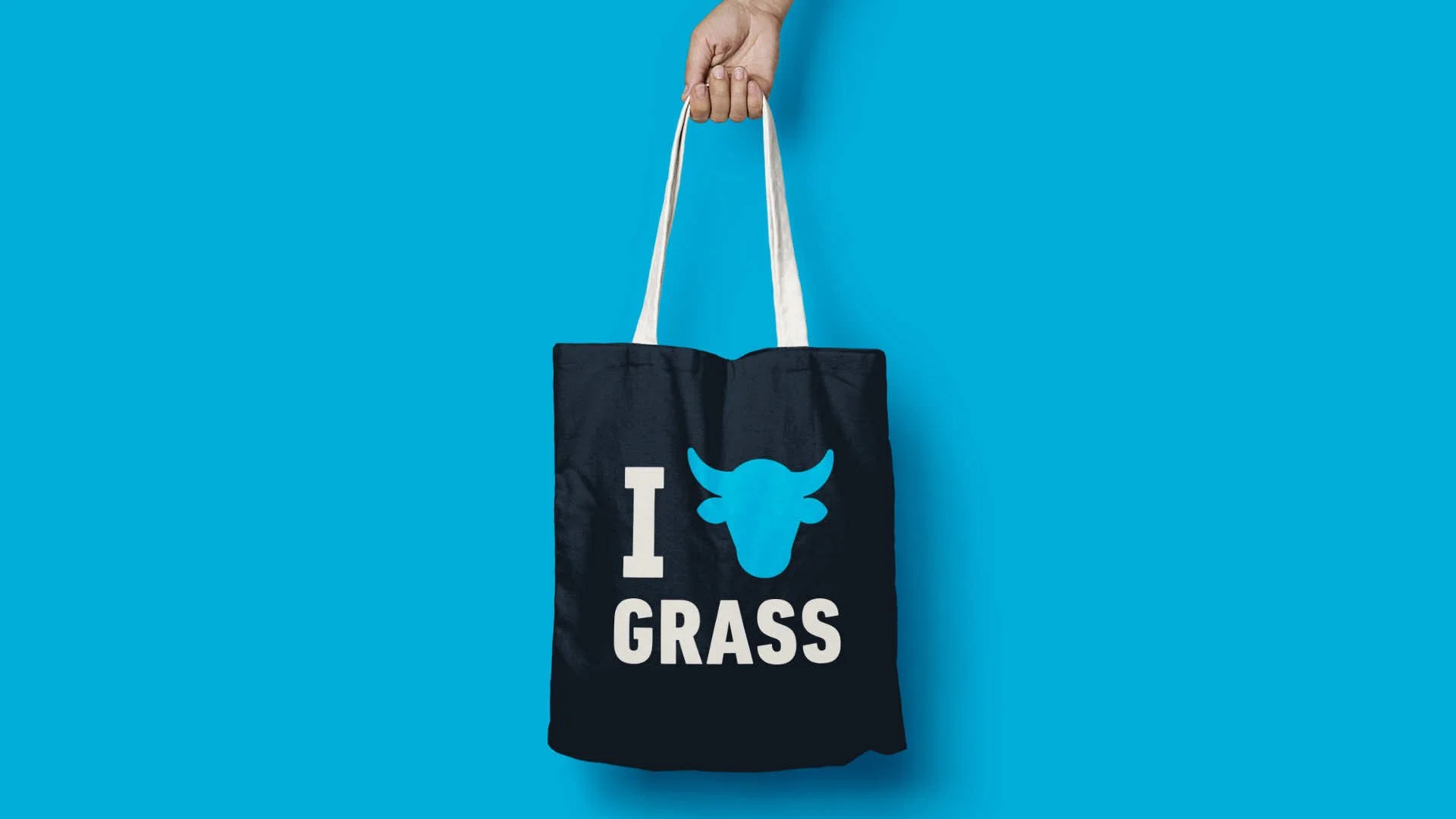 CA_BeefGrass_Bag_01.jpg