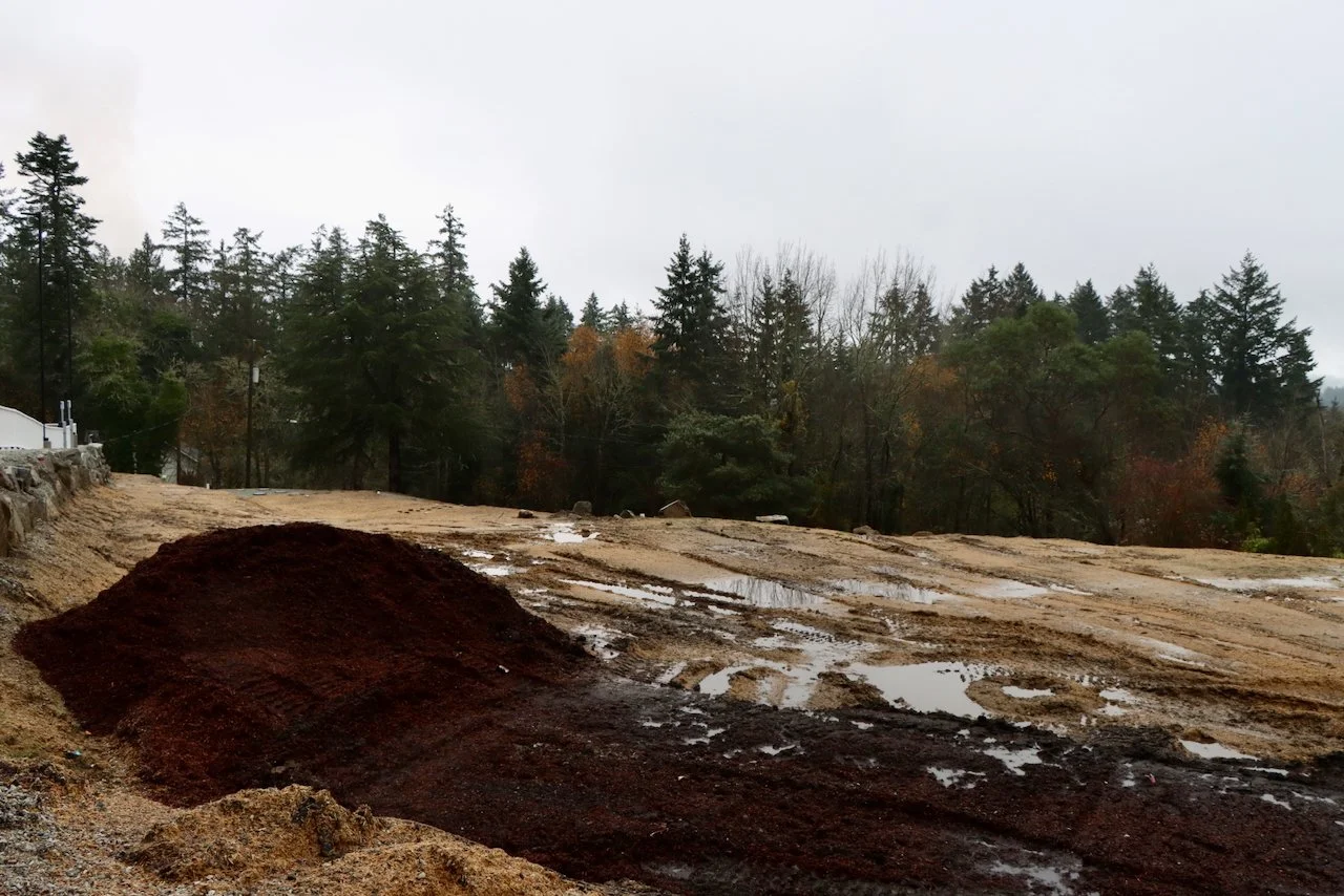 Key Phases in Predevelopment: What Every Developer Should Prepare Before Breaking Ground