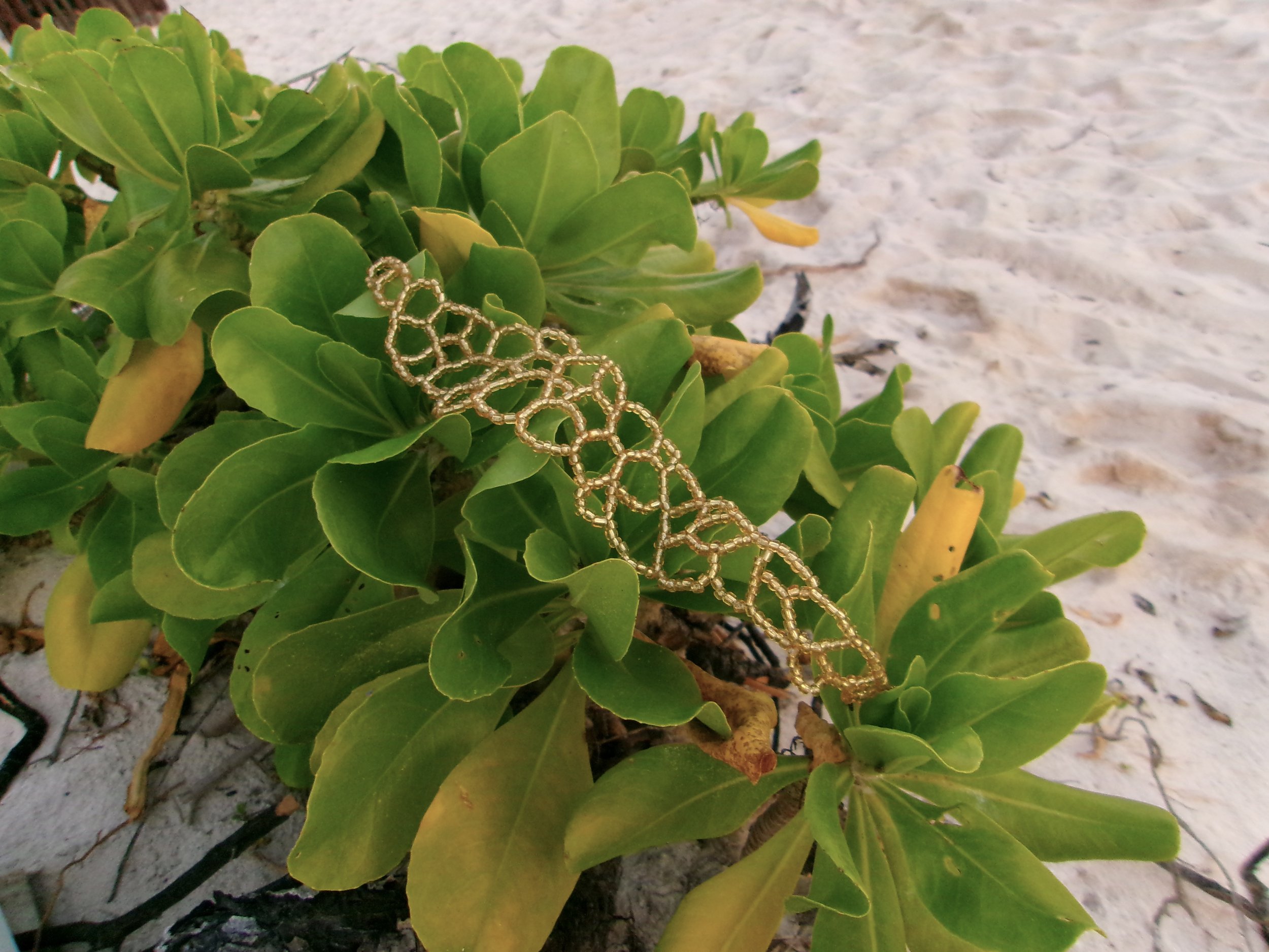 Coral Gold 6.jpg
