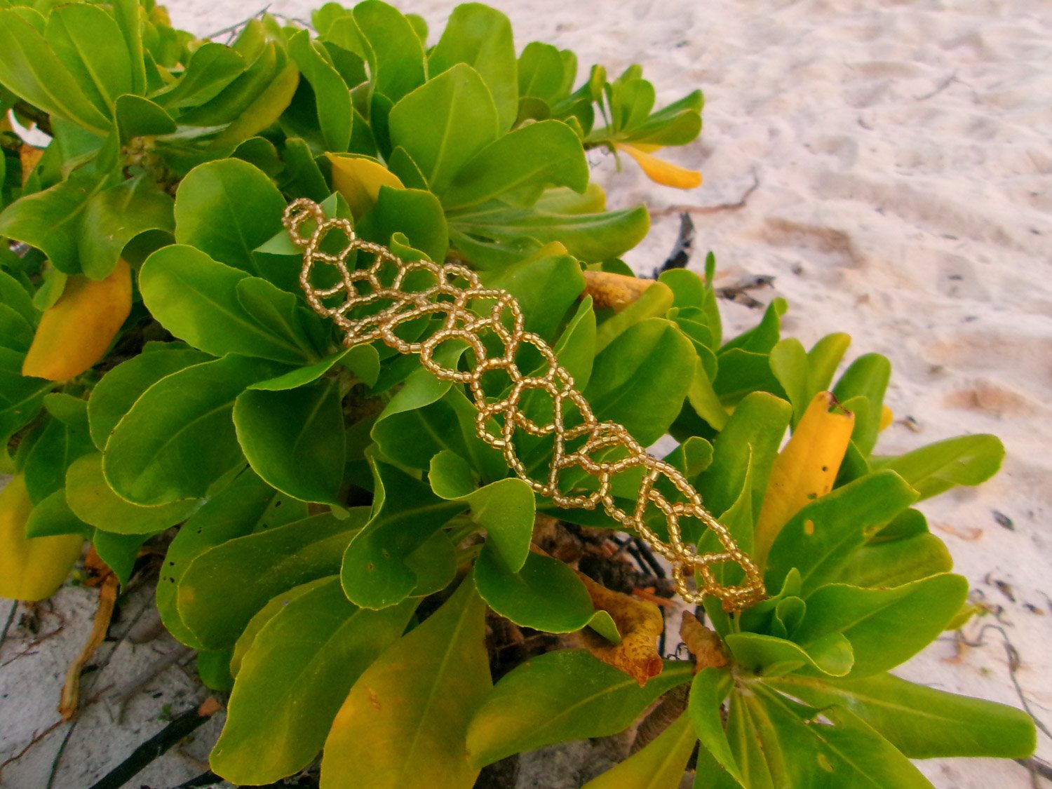 Coral Gold - 3-2.jpg
