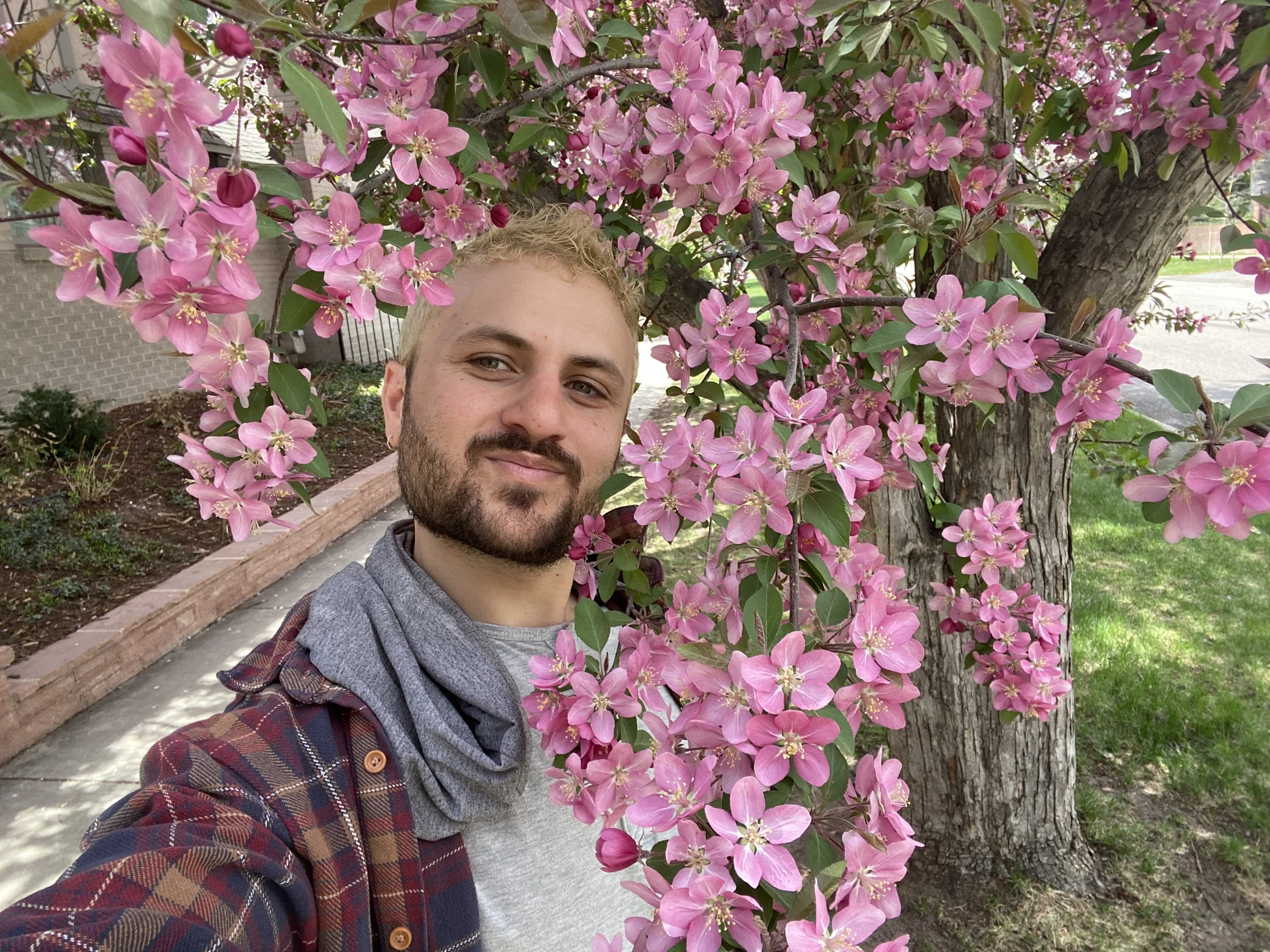 Queer Counselor Colorado