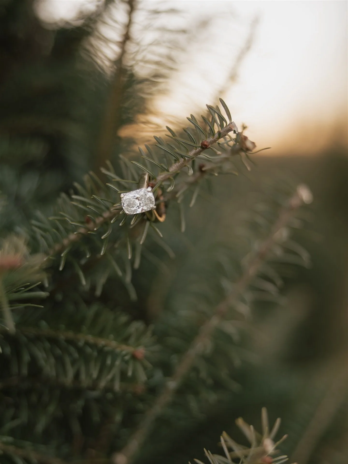 Merry Christmas &mdash; grateful for the gift of Jesus and every sweet joy this season brings. So excited for the year ahead! ❤️

&ldquo;For to us a child is born, to us a son is given; and the government shall be upon his shoulder, and his name shal