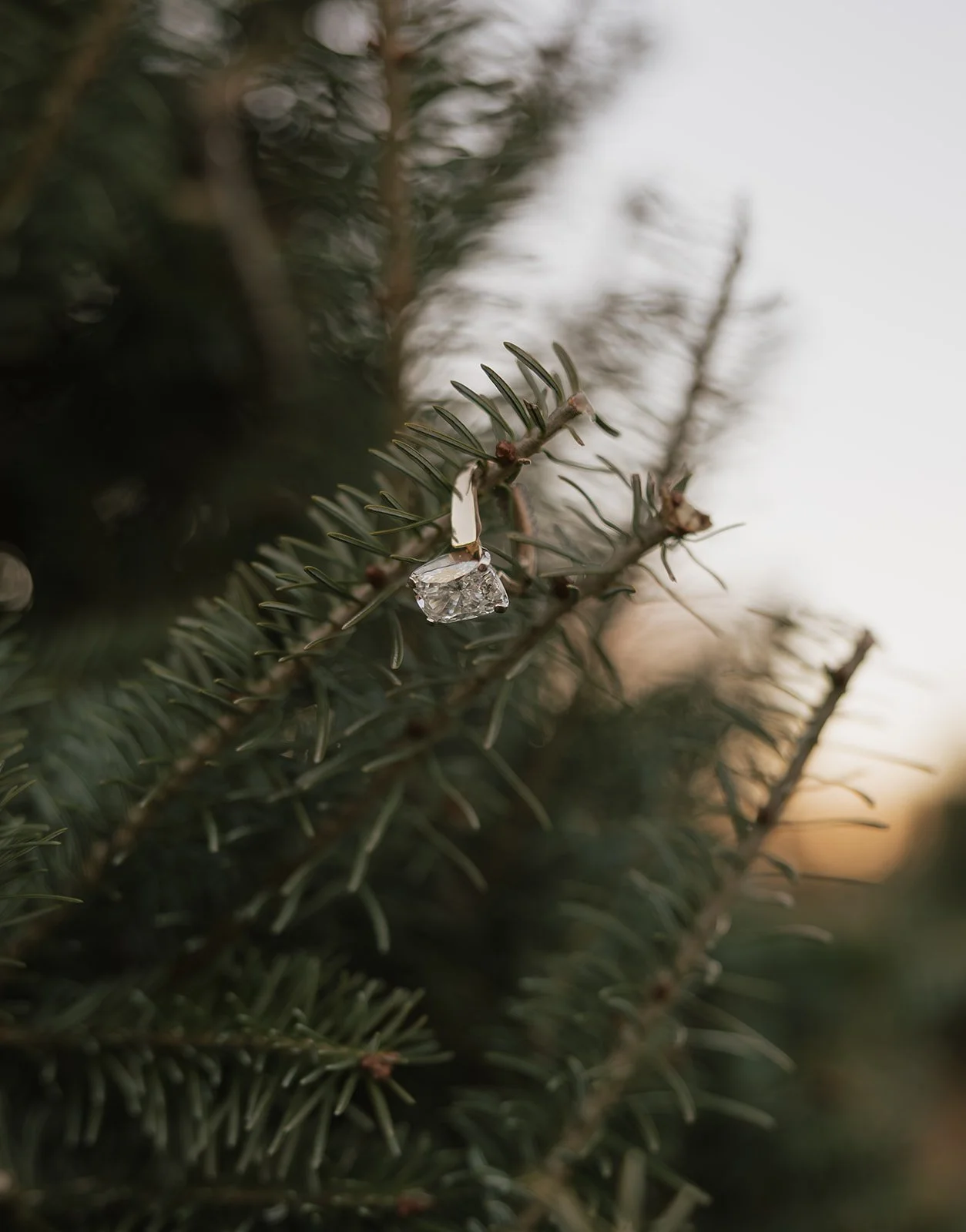 Wisconsin Couples and Wedding Photographer