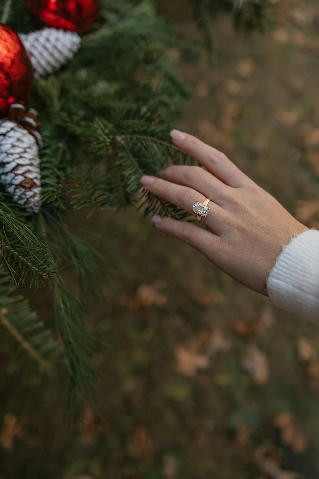 Wisconsin Couples and Wedding Photographer