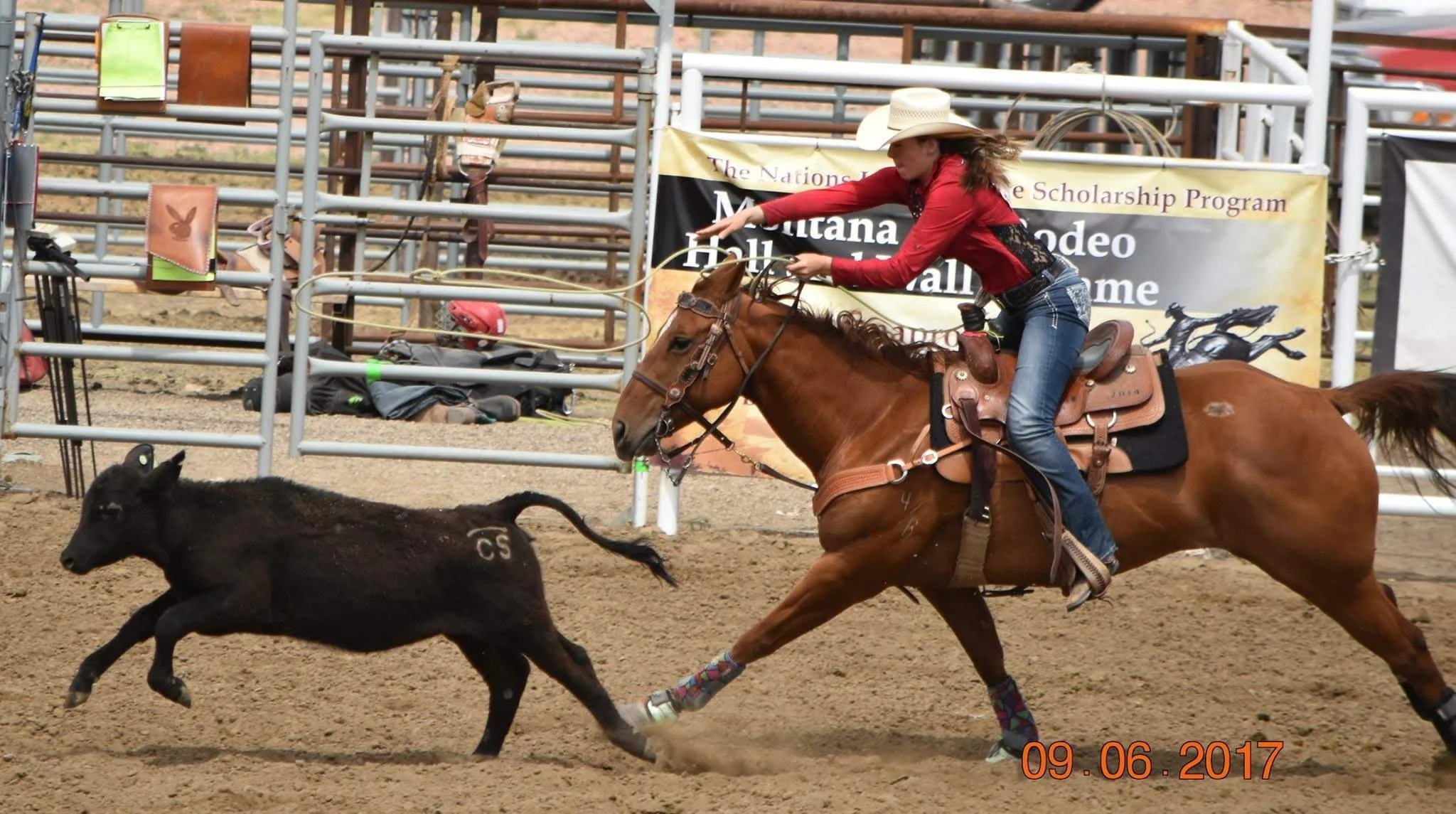 A woman riding a bucking horse while chasing a black calf in a rodeo arena with metal fences and banners in the background.