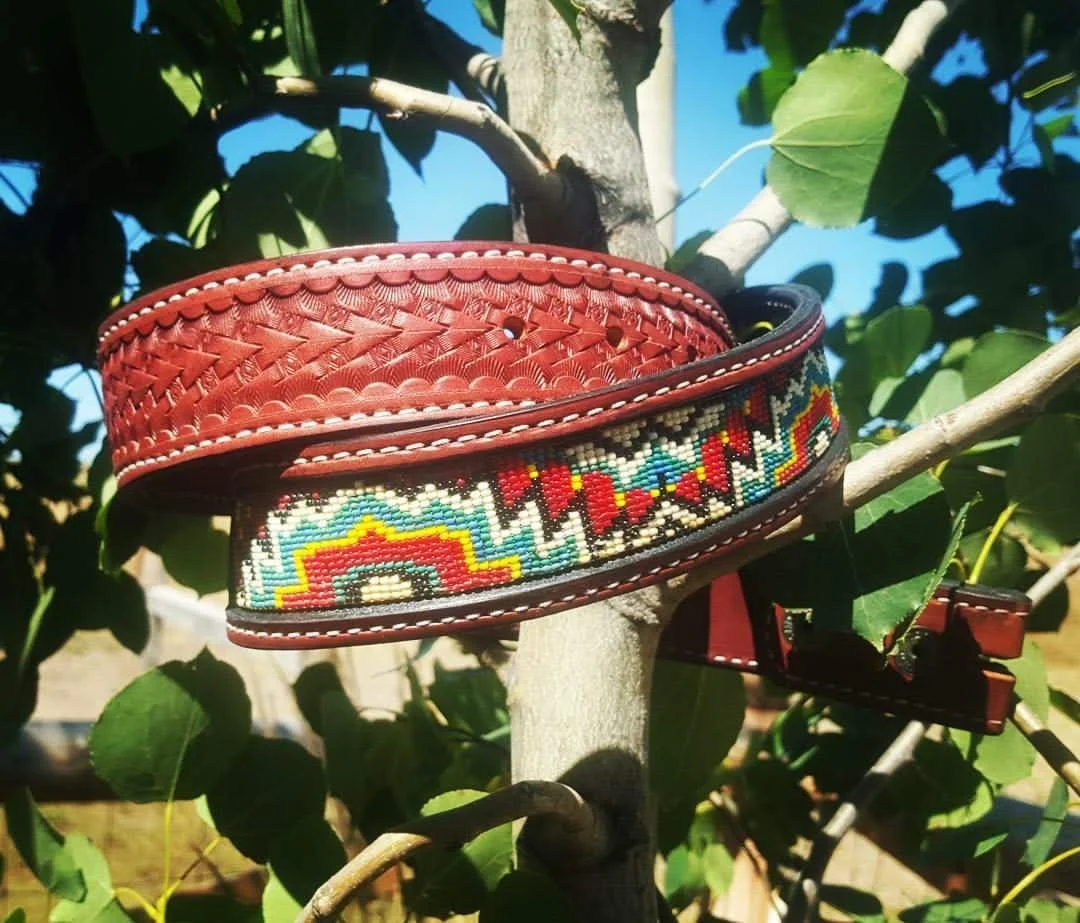 A red leather dog collar with intricate woven beaded decoration in bright colors, hanging on a tree branch amidst green leaves with a blue sky in the background.