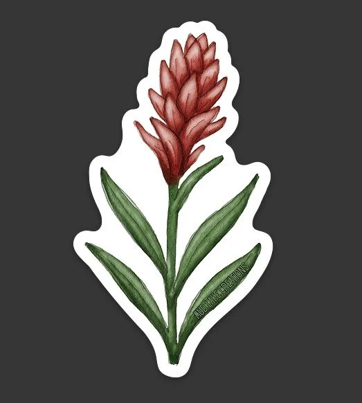 Indian Paint Brush Proof.jpg