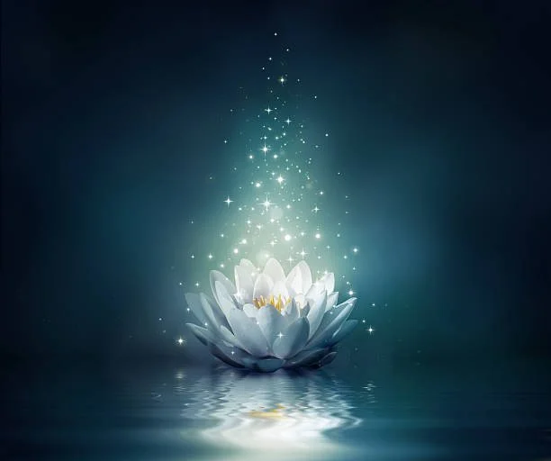 lotus.jpg