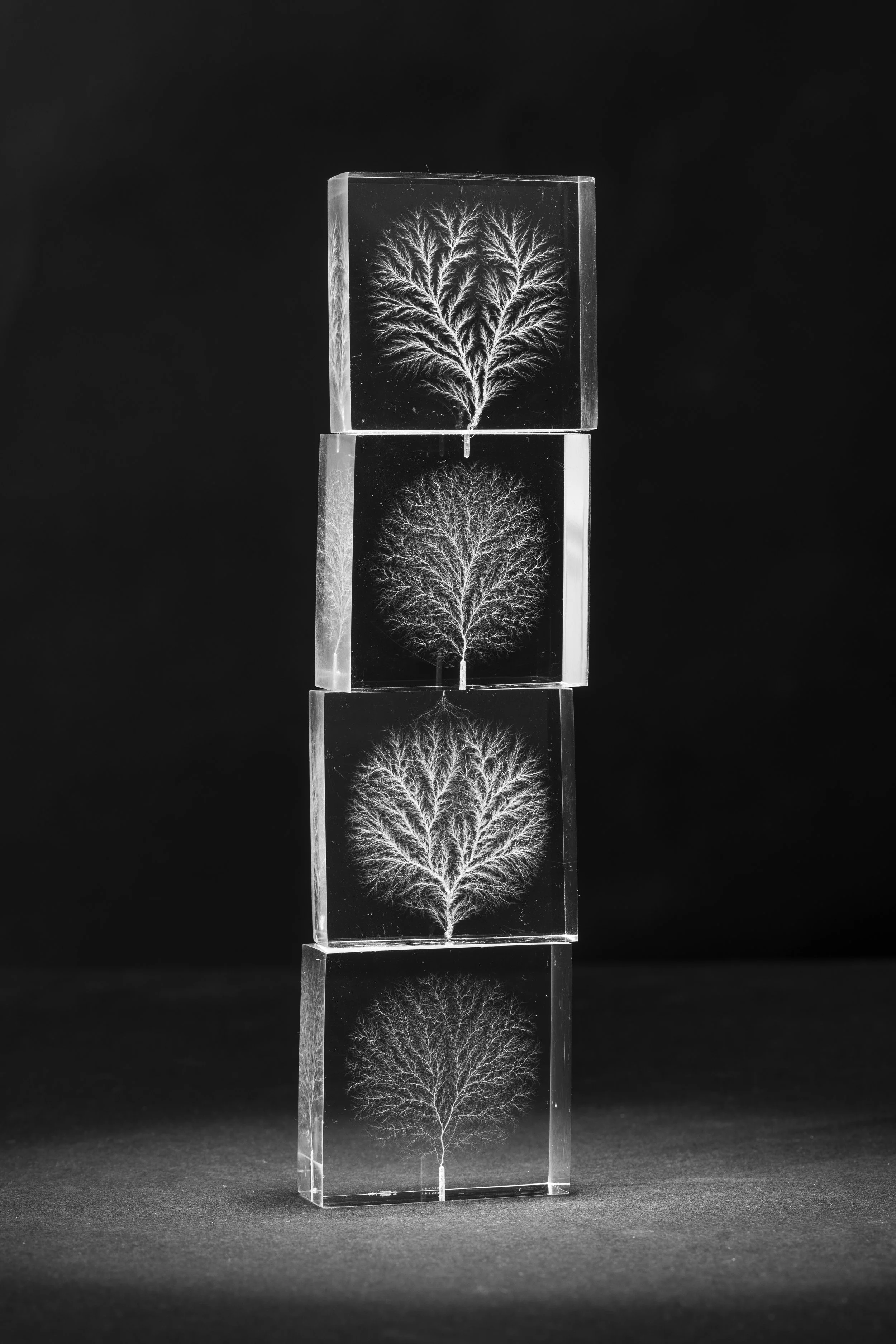 Emile De Visscher, vascular electron discharge in PMMA block, close up 1, 2020, conducted at LSI Lab, École Polytechnique, Palaiseau, with support from EMIR network. Credits: Palta Studio.