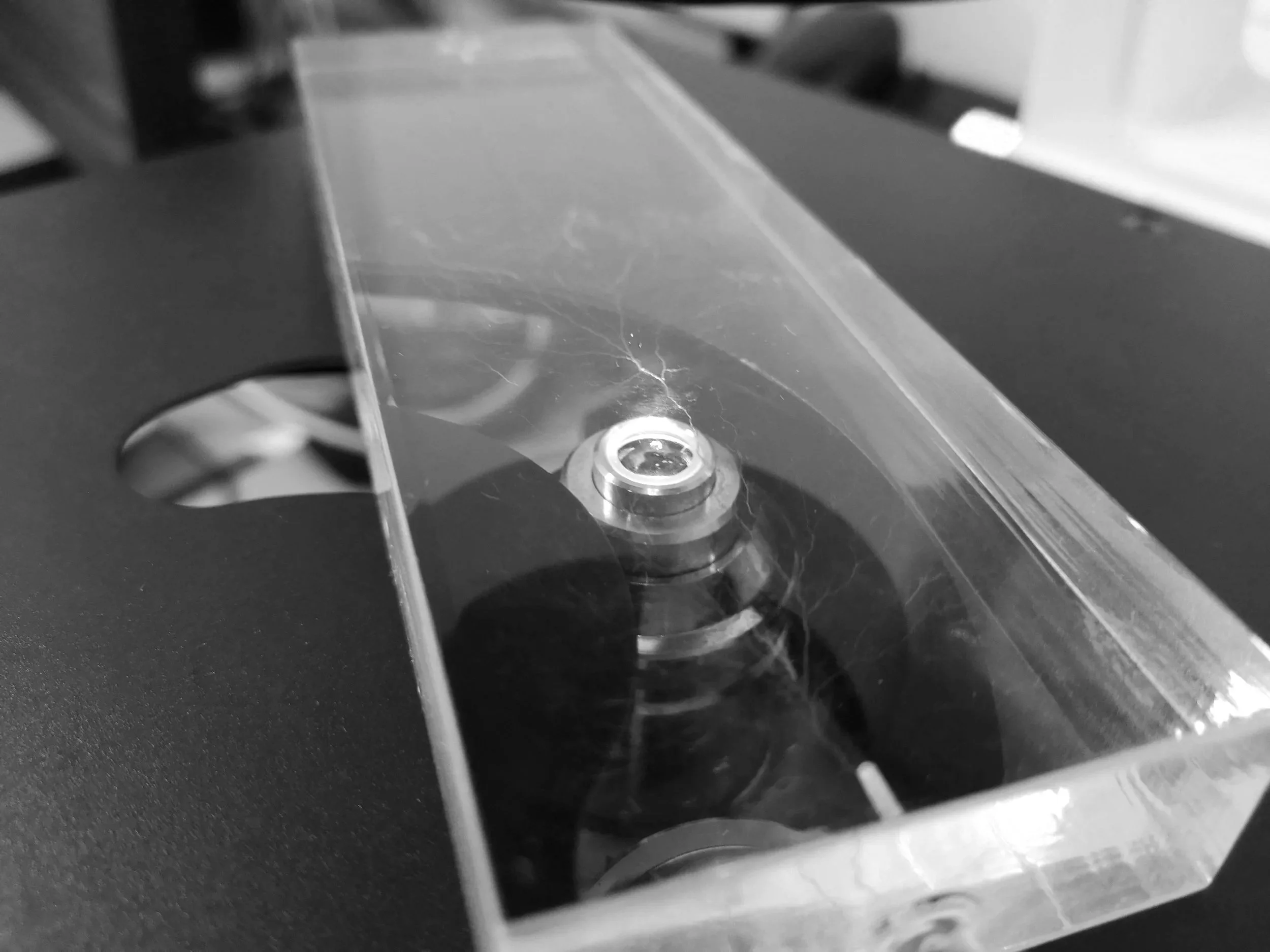 Microscop observation of the pathways of liquids inside the vascular network, with support from Marcus Lindner, Weinhart Research Group, Freie Universität, Berlin. Image credits: Emile De Visscher.