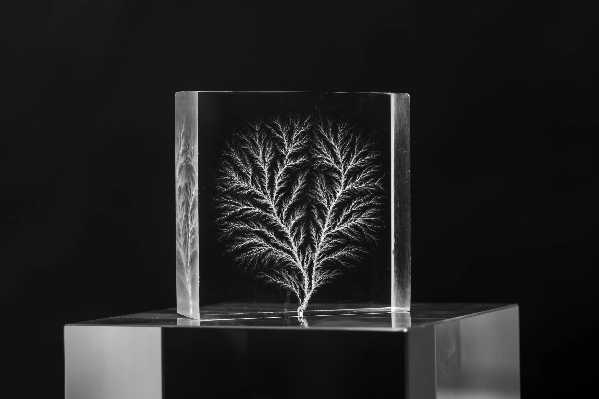 Emile De Visscher, vascular electron discharge in PMMA block, test 1, 2020, conducted at LSI Lab, École Polytechnique, Palaiseau, with support from EMIR network. Credits: Palta Studio.