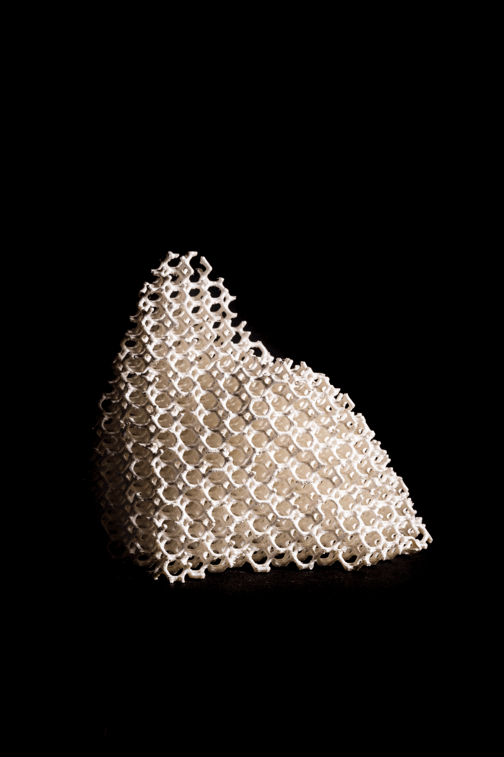 Emile De Visscher, 3D printed structure with mother-of-pearl finish, 2016. Credits: Palta Studio.