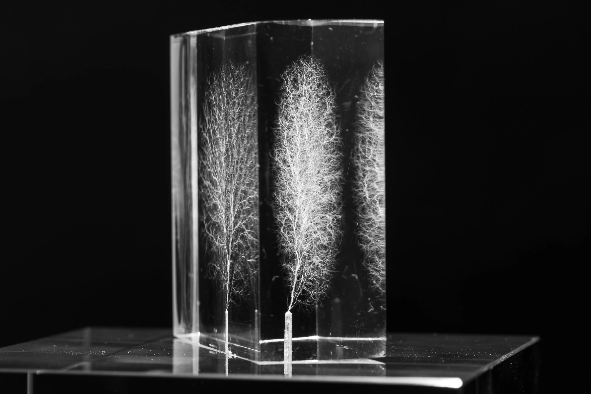 Emile De Visscher, vascular electron discharge in PMMA block, test 2, 2020, conducted at LSI Lab, École Polytechnique, Palaiseau, with support from EMIR network. Credits: Palta Studio.