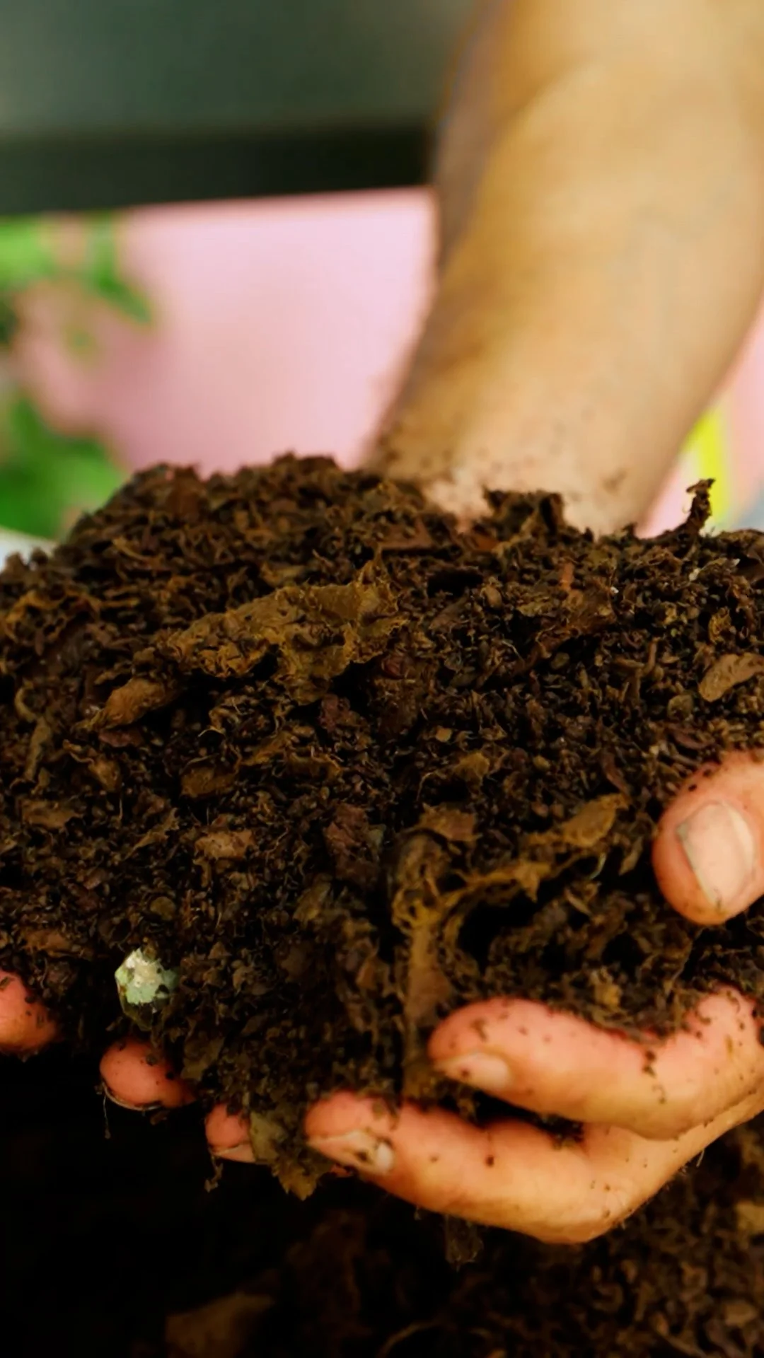 Handful of Compost.jpg