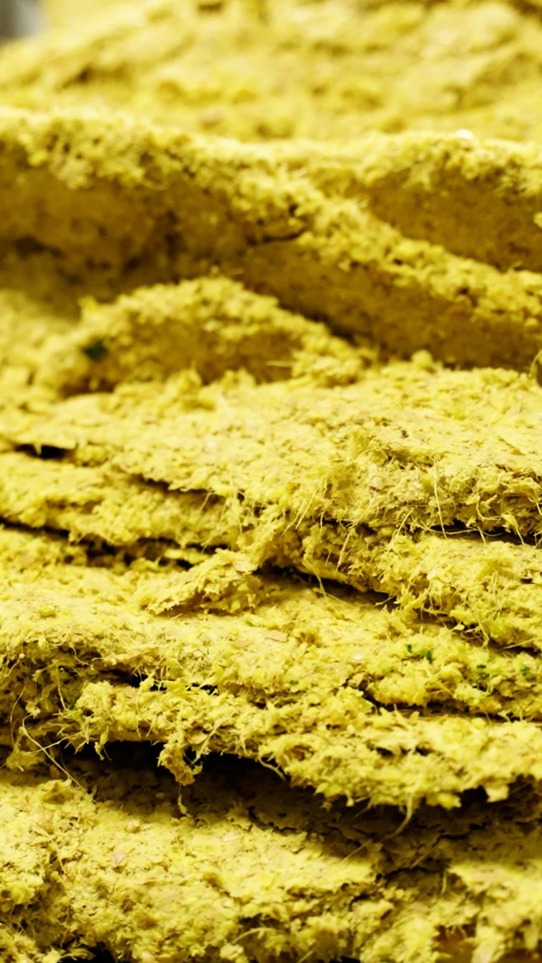 Ginger Pulp.jpg