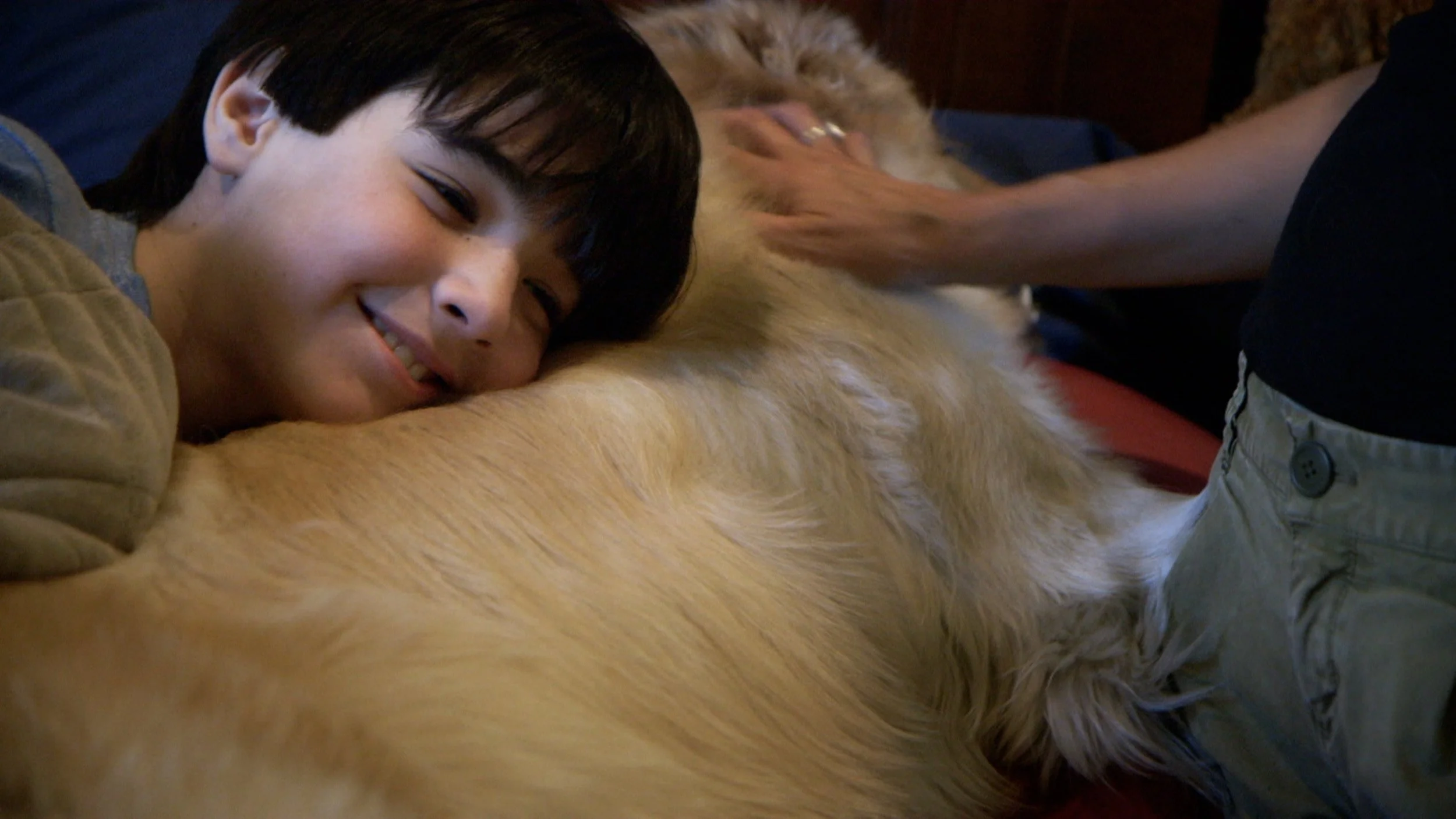 IFFBoston Doc Review: for the love of dogs