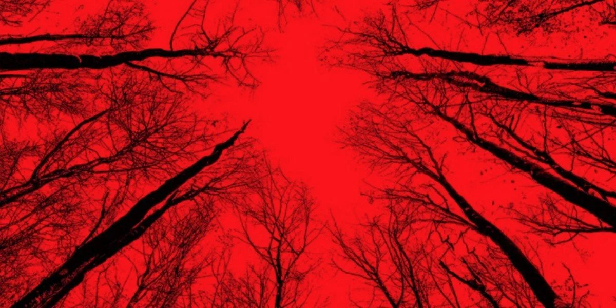 Spoilerpiece Theatre Episode 114: Blair Witch