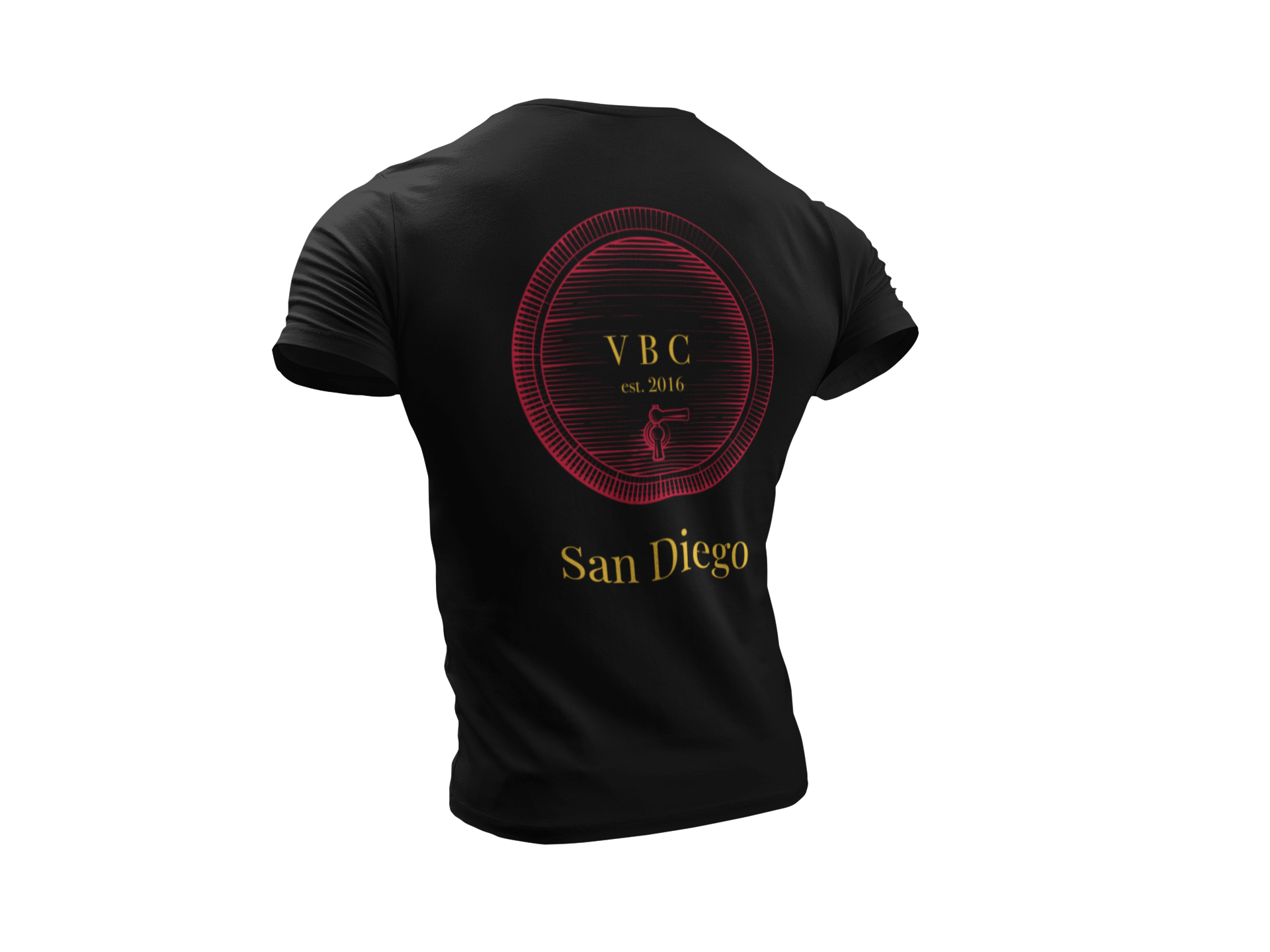 back-of-a-ghosted-short-sleeve-tee-mockup-facing-a-transparent-backdrop-a10757b (2) copy 2.png