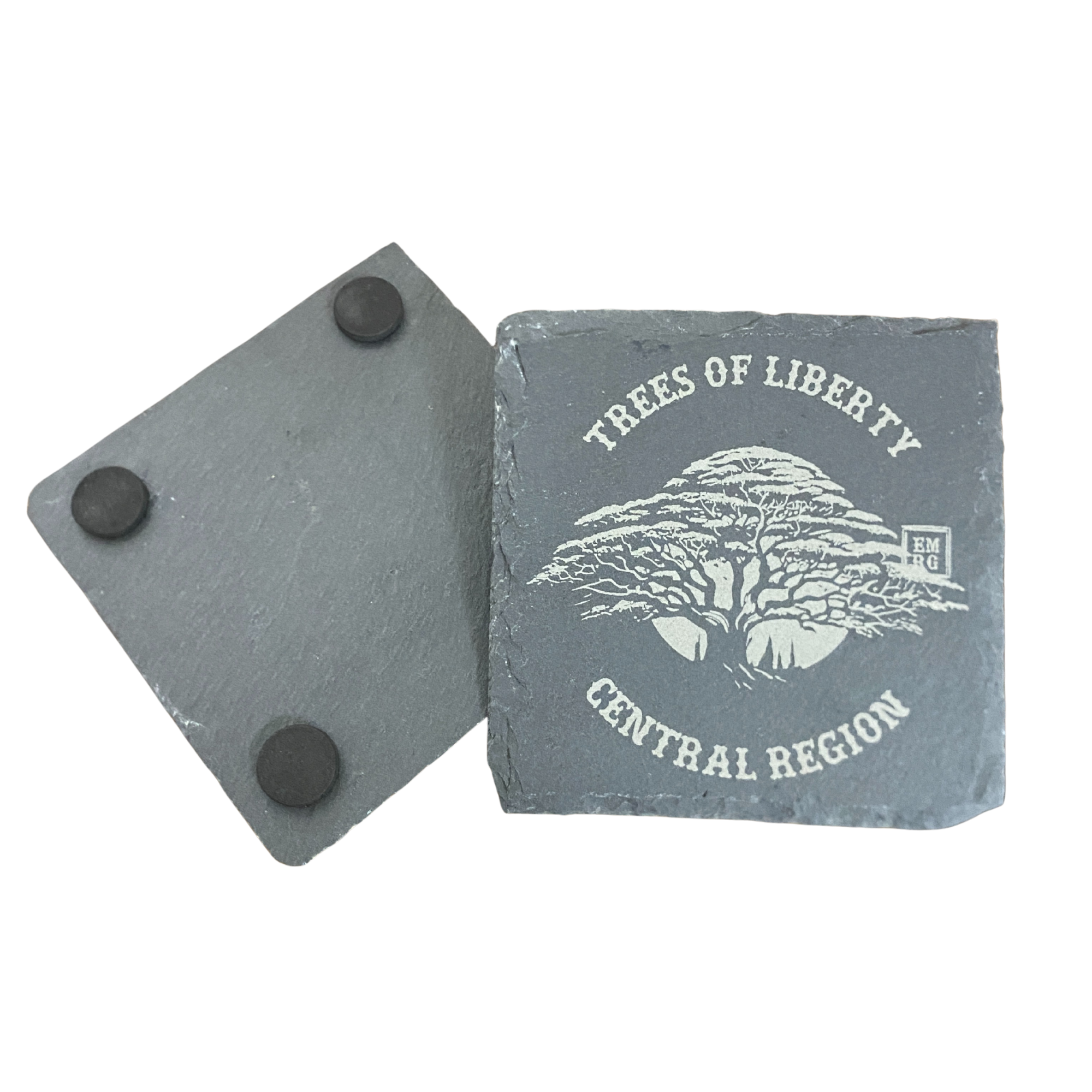 AAA - 2026-02-19T075255.987.png