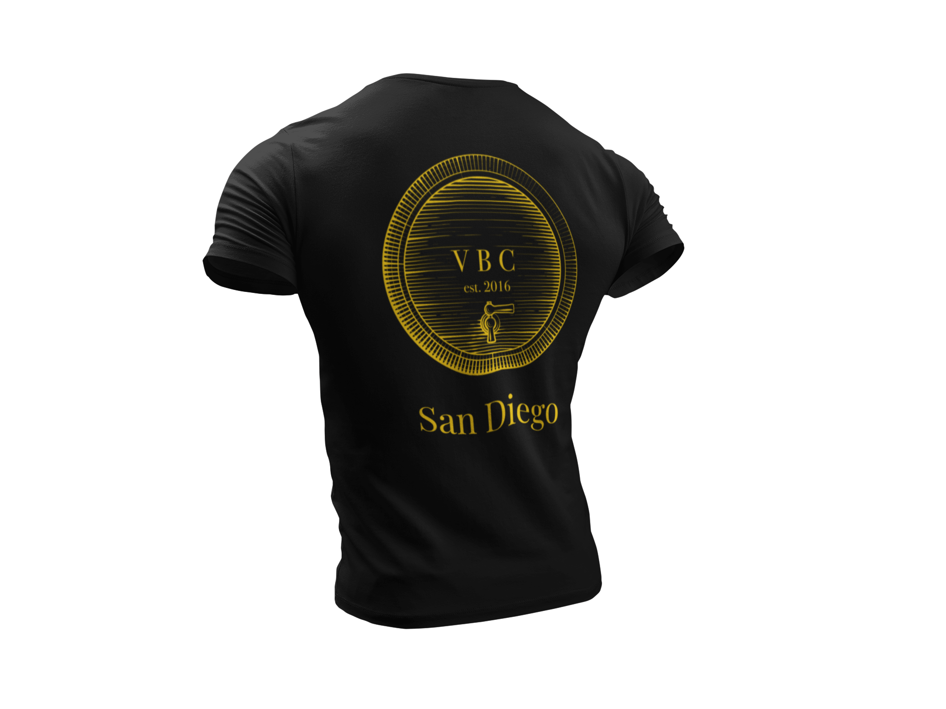 back-of-a-ghosted-short-sleeve-tee-mockup-facing-a-transparent-backdrop-a10757b (2).png