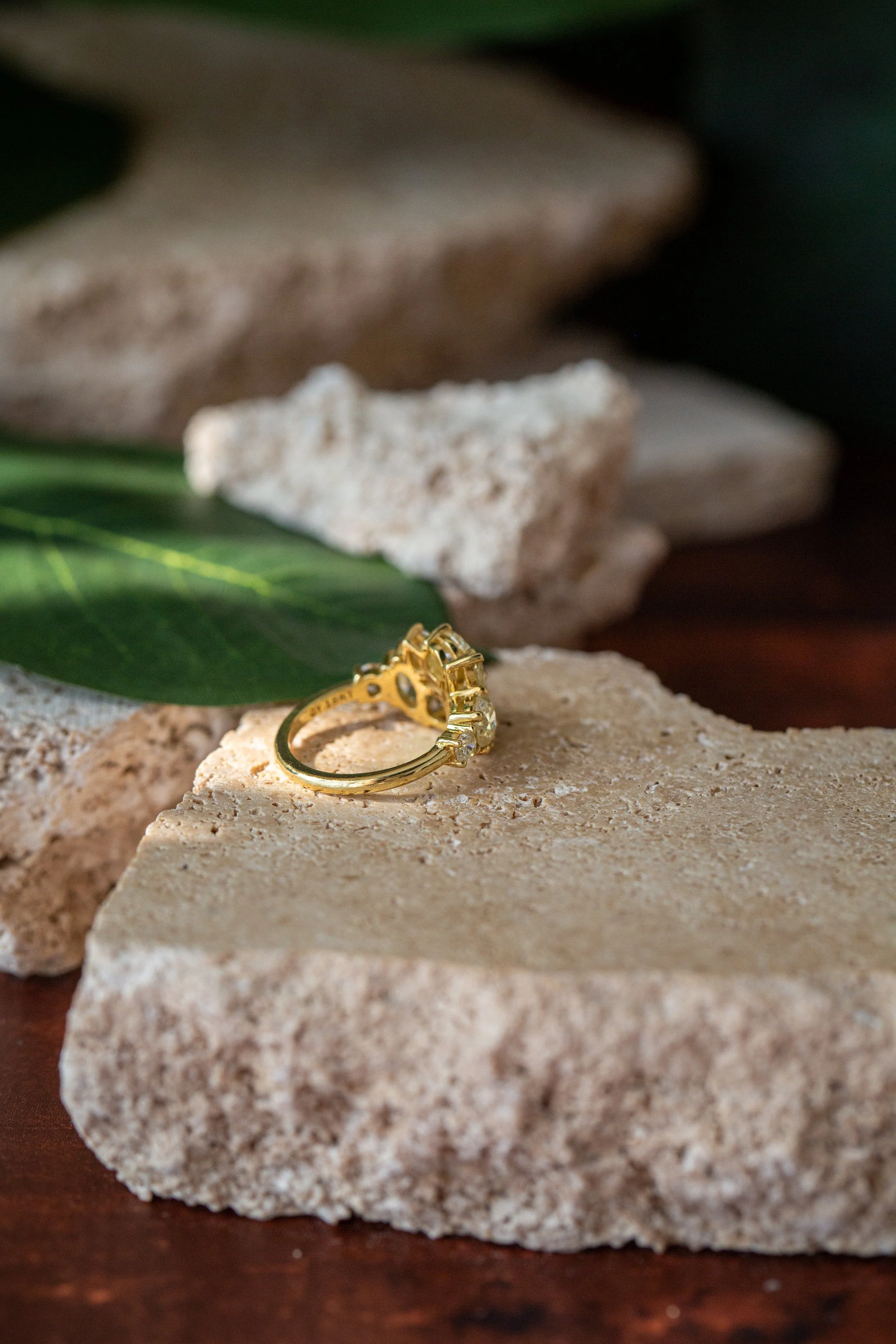 Rendrag+Lana+Ring-10.jpg