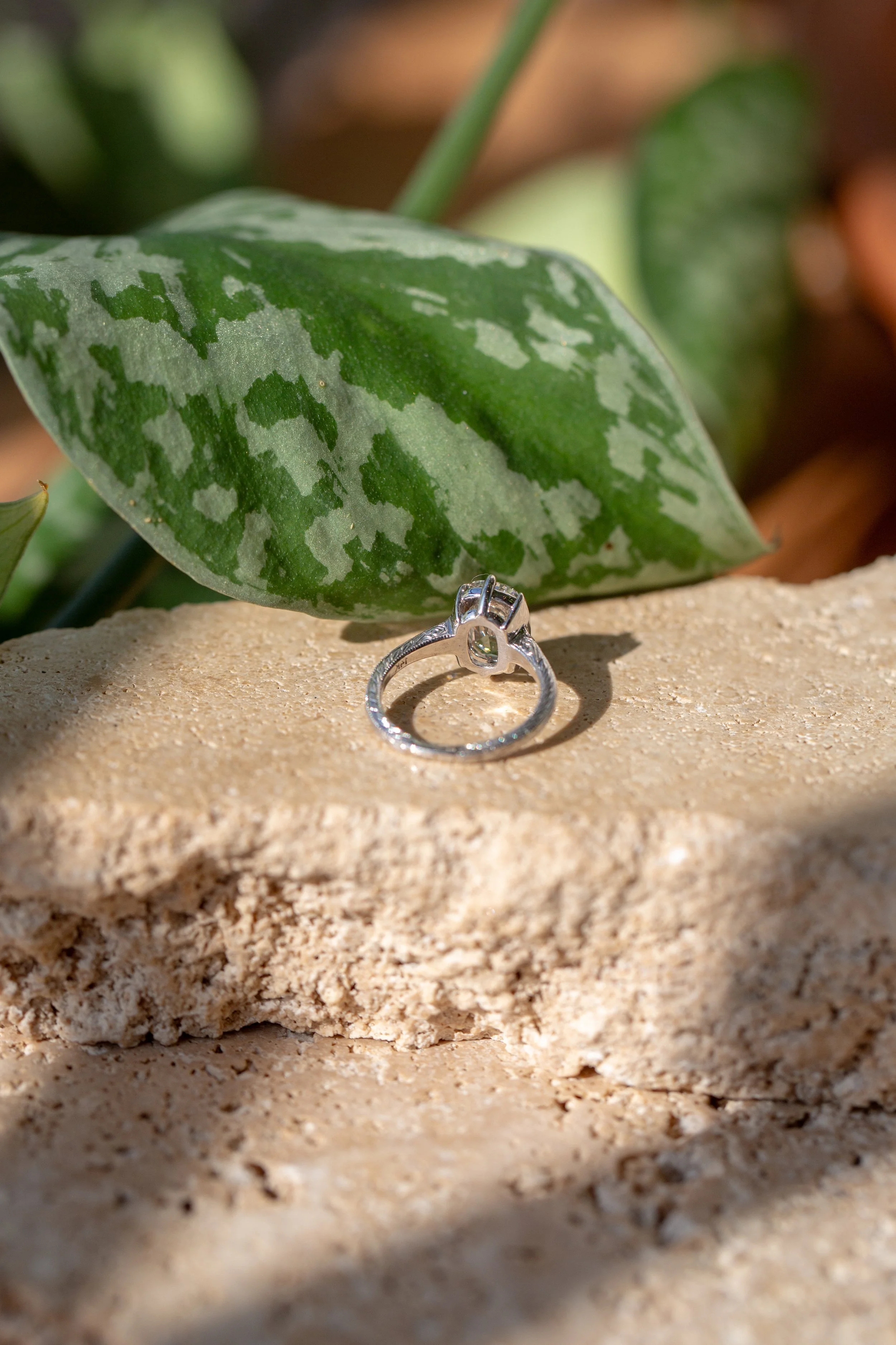 Rendrag+Lydia+Diamond+Ring+2025V2+-11.jpg