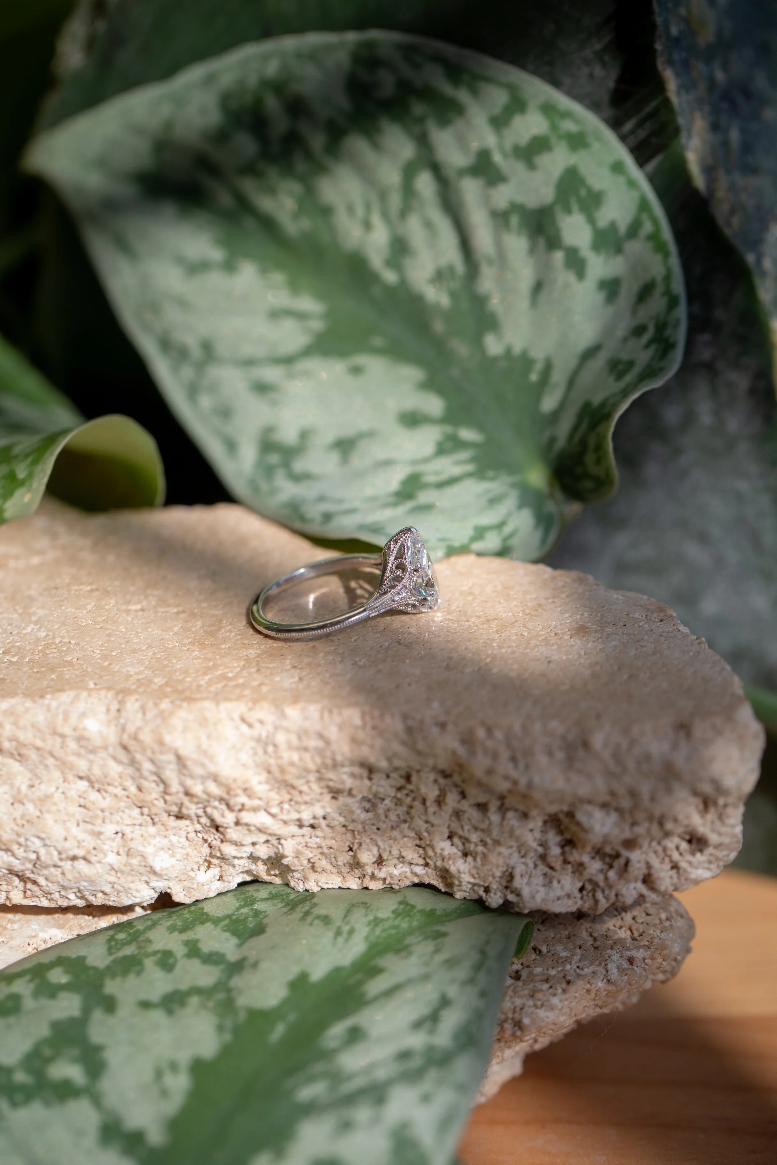 Rendrag+Sabrina+Ring+-26.jpg