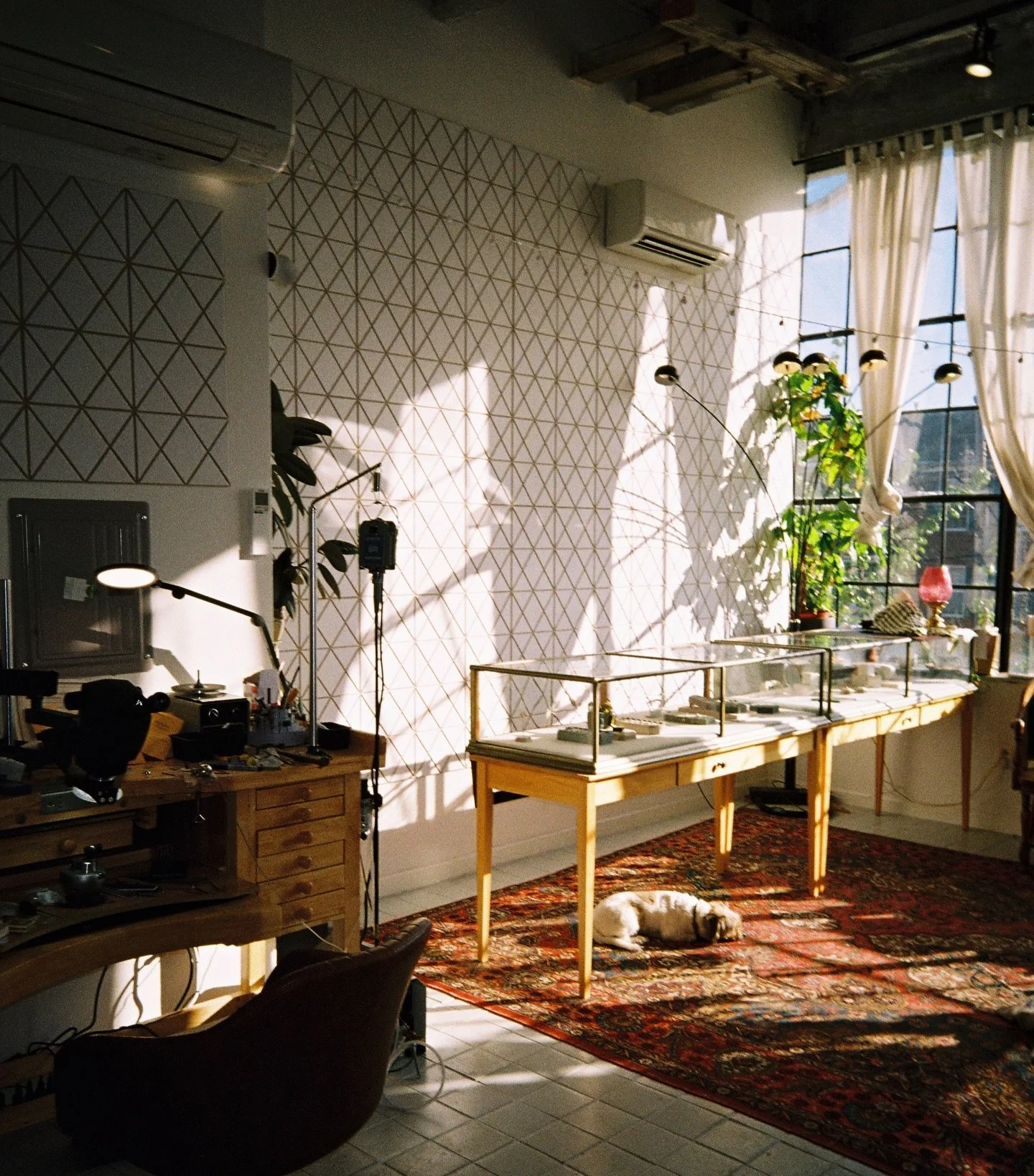 The studios morning light is really something ❤️