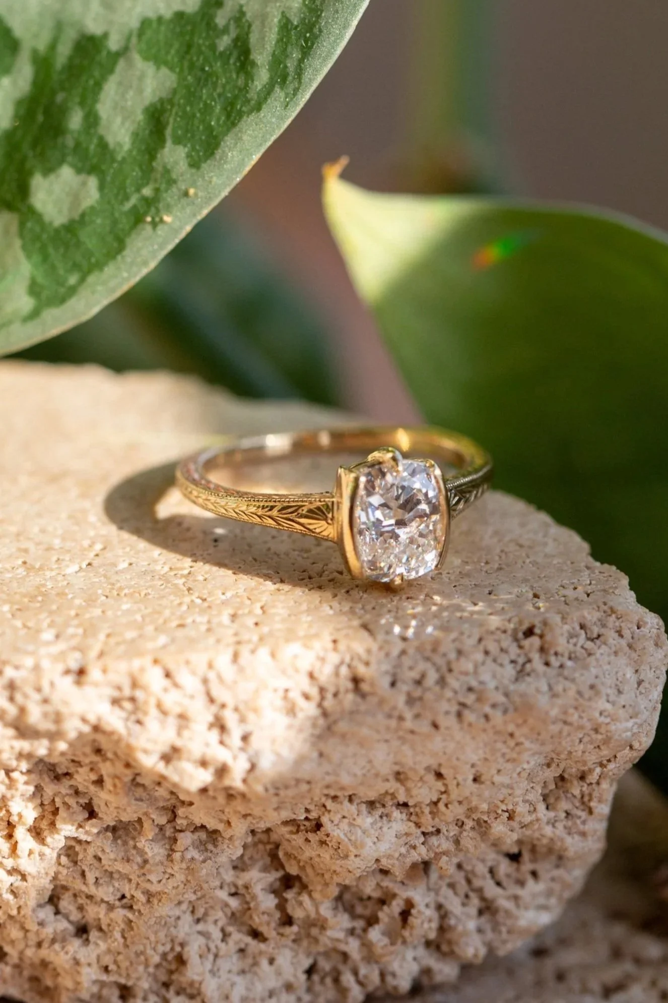 Rendrag%2BLydia%2BDiamond%2BRing%2B2025-14.jpg