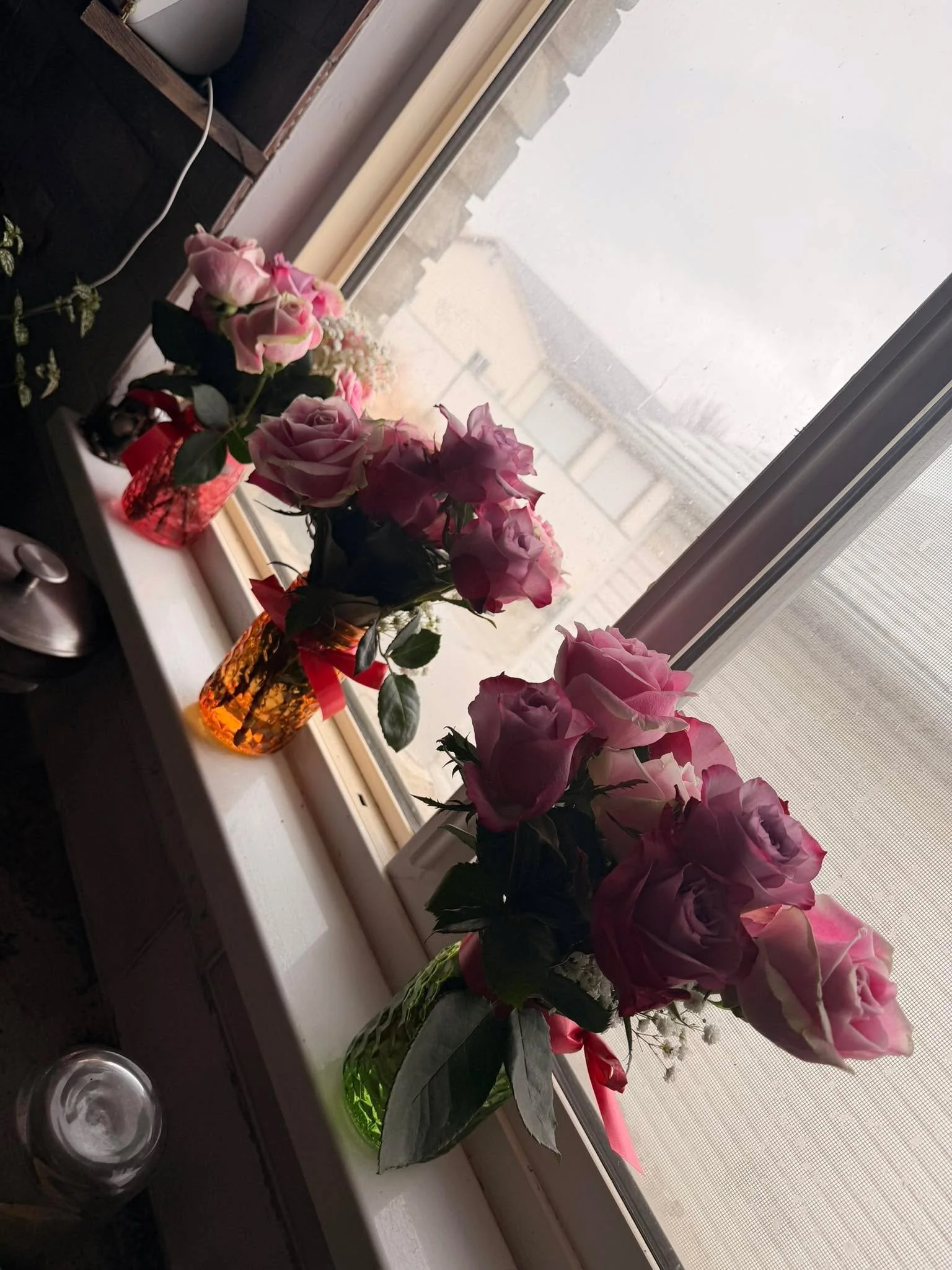 Damon gave his sisters roses for Valentine&rsquo;s Day. They decided they look good together and now I smile every time I walk in the kitchen. Because 1. They&rsquo;re beautiful! And because 2. They didn&rsquo;t kill each other off when they were lit