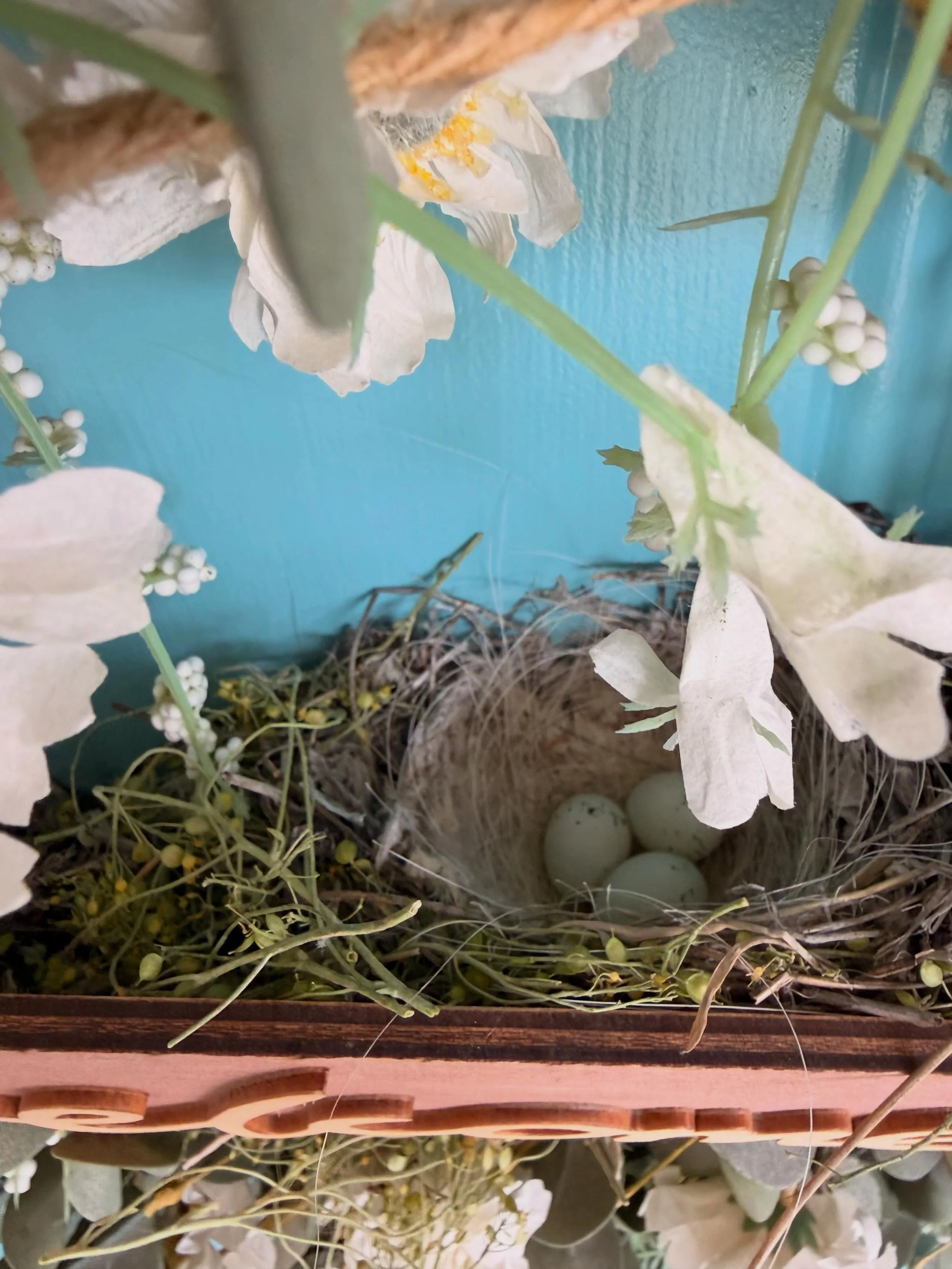 Kids thought my wreath included this fake nest and decorative eggs and while messing around one kid threw an egg at another kid. Yolks on them..:these are real! 🥚 Sad way to find out a little 🐦 bird family thought our front door was a good spot to 