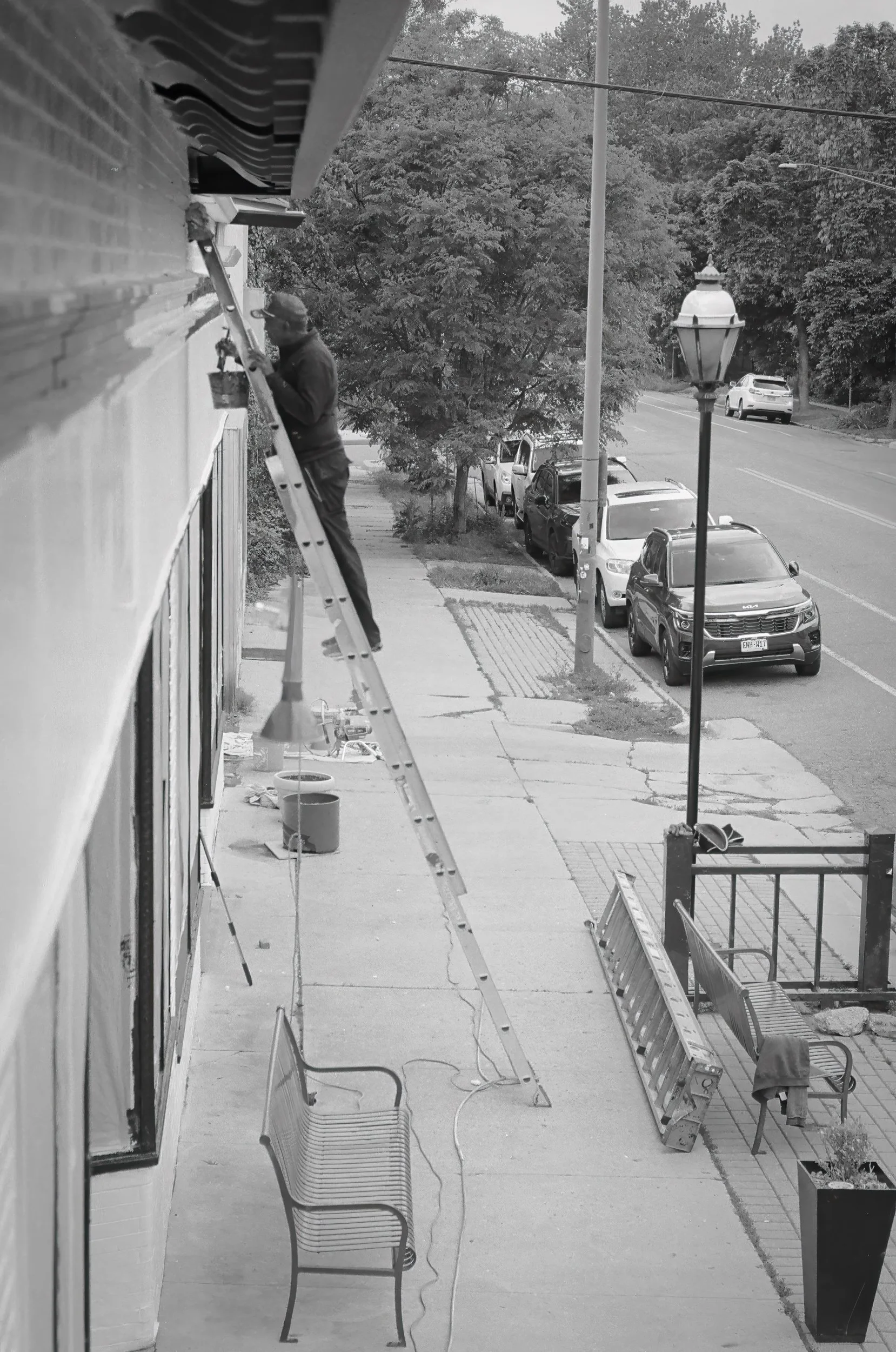 A man standing on a ladder cleaning or repairing the exterior of a building, with a sidewalk, park benches, parked cars, trees, streetlights, and a street in the background.