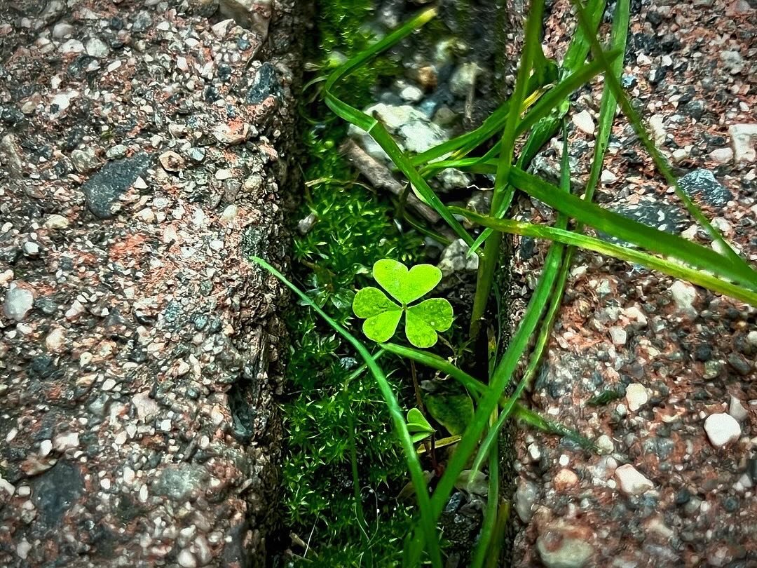 p&uacute;ca
::::::::::::::::::::::::::::::::::::::::::::::::::::::::::::::::::::::::::::::::::::::::::::::::::::::::::::::::::::
#iphonephotography #iphonephoto