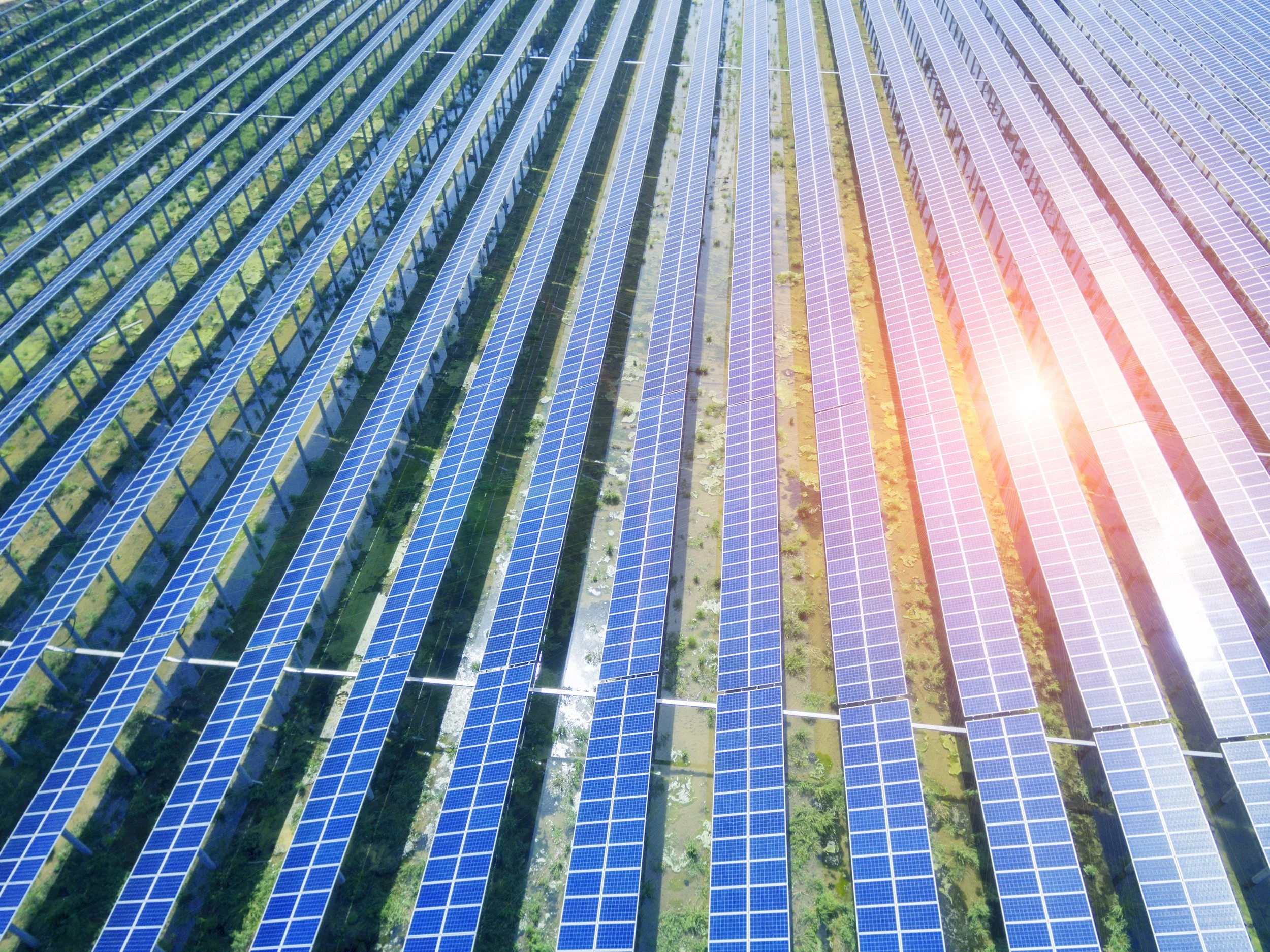 Large solar panel farm.