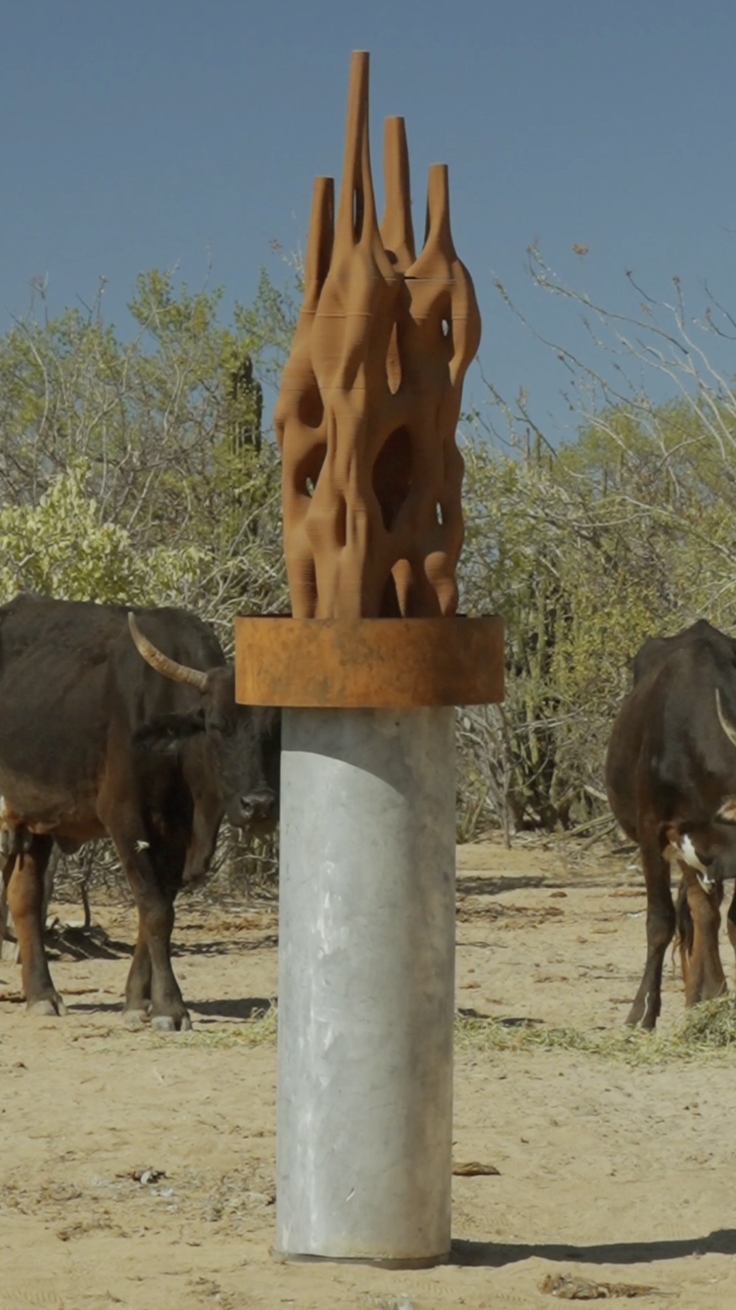 Screenshot 2025-05-07 at 6.28.04 PM.png