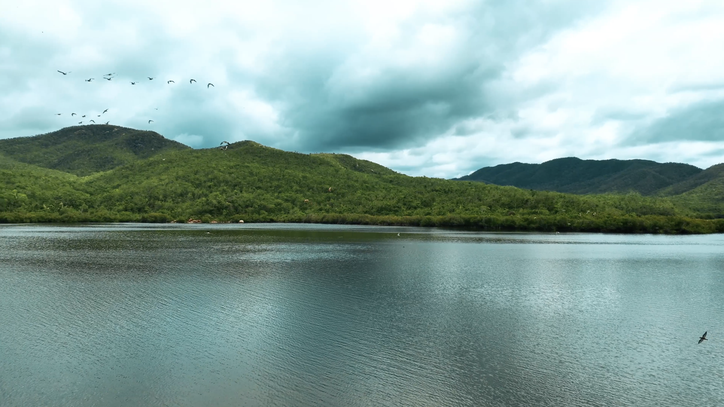 Screenshot 2026-01-14 at 11.40.24 AM.png