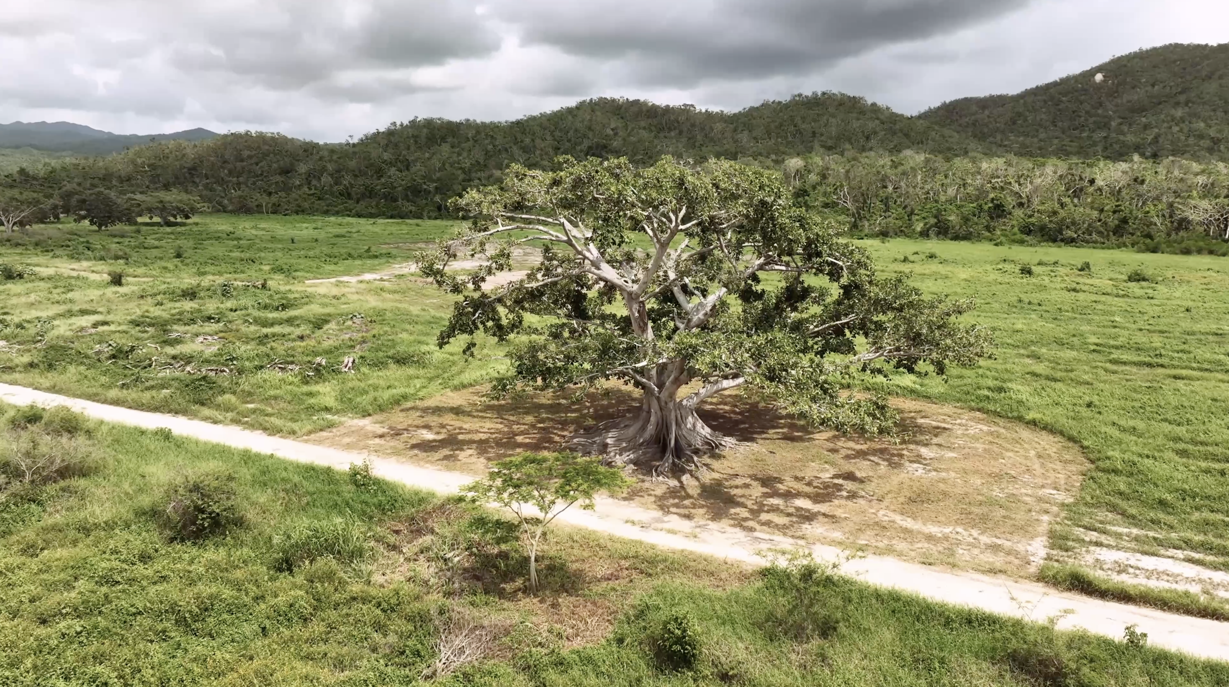 Screenshot 2026-01-14 at 11.41.30 AM.png